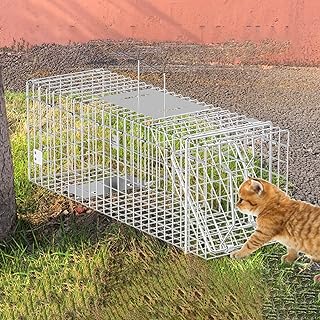 Cat Trap for Stray Cats, Rabbit Trap Collapsible Cat Trap Cage Steel Humane Live Animal Trap Cage Durable Cat Trap Cage for Squirrel Bobcat Gopher Chipmunks Skunk Raccoon (Size : 51 * 18 * 21cm)