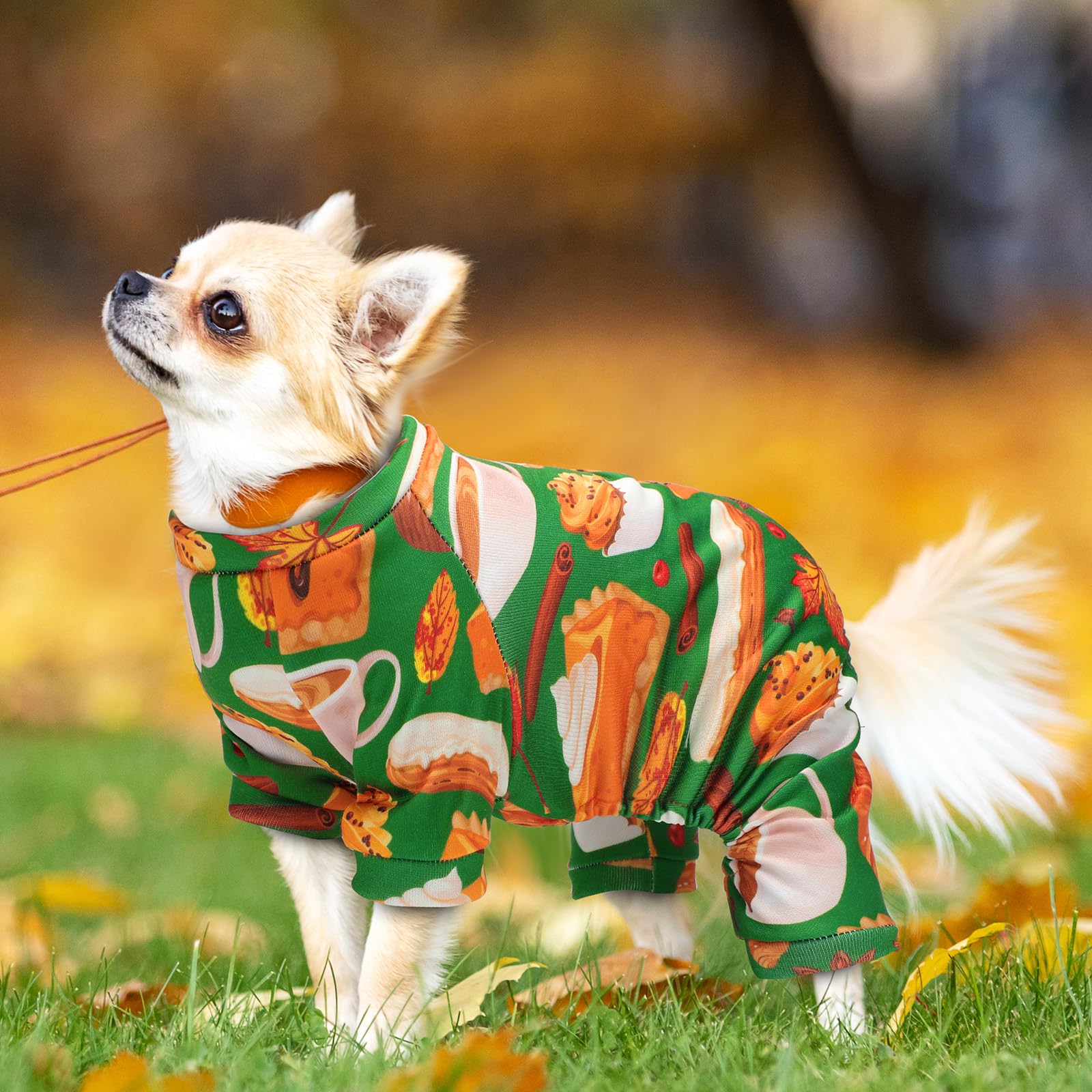 fall dog dress Girls Fall Floral Special Event Dress main image 1