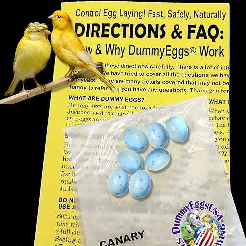 Miniatura 3 de DummyEggs Huevos simulados canarios para dejar de ponerse. Huevos falsos de plástico sólido no tóxicos, de 1116 x 12 pulgadas. Plástico azul