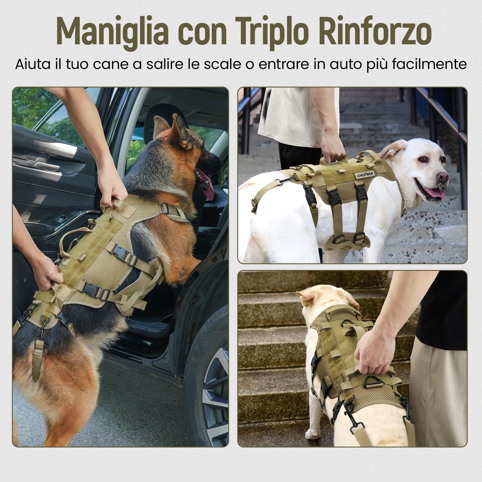 DAISTERN Pettorina Tattica Cane Imbracatura per Cani Taglia Media Grande di Supporto e Sollevamento con 1000D Nylon Sandwich Mesh, 3 Maniglie&Cinghie Supporto e Gambe Posteriori Rimovibili Regolabili