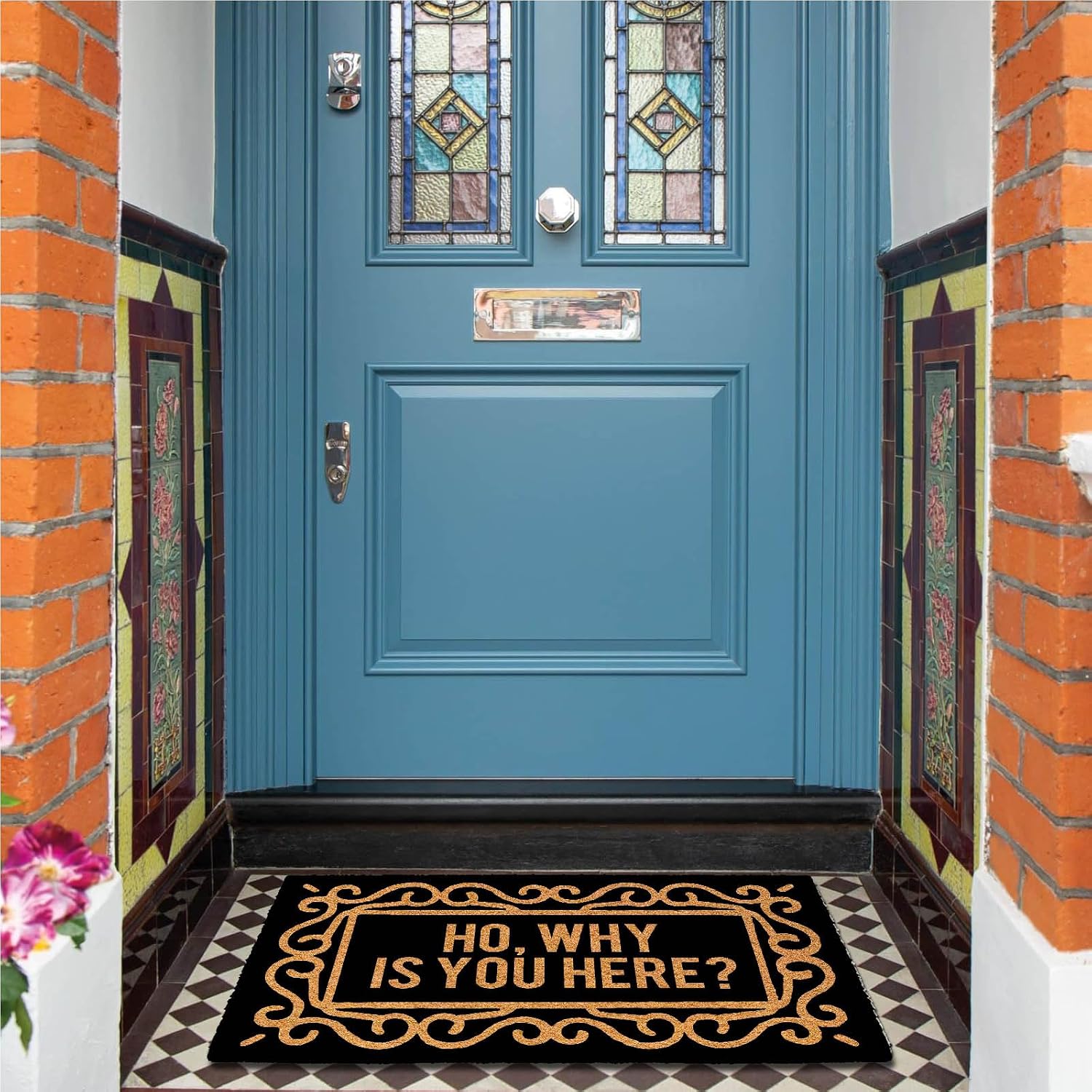 Ho Why is You Here 30"x18" Door Mats Inside Indoor Non Slip for Outside Funny Holiday Doormats for Outdoor Entrance Home Front Door Entry Rugs for Entryway with Rubber Backing