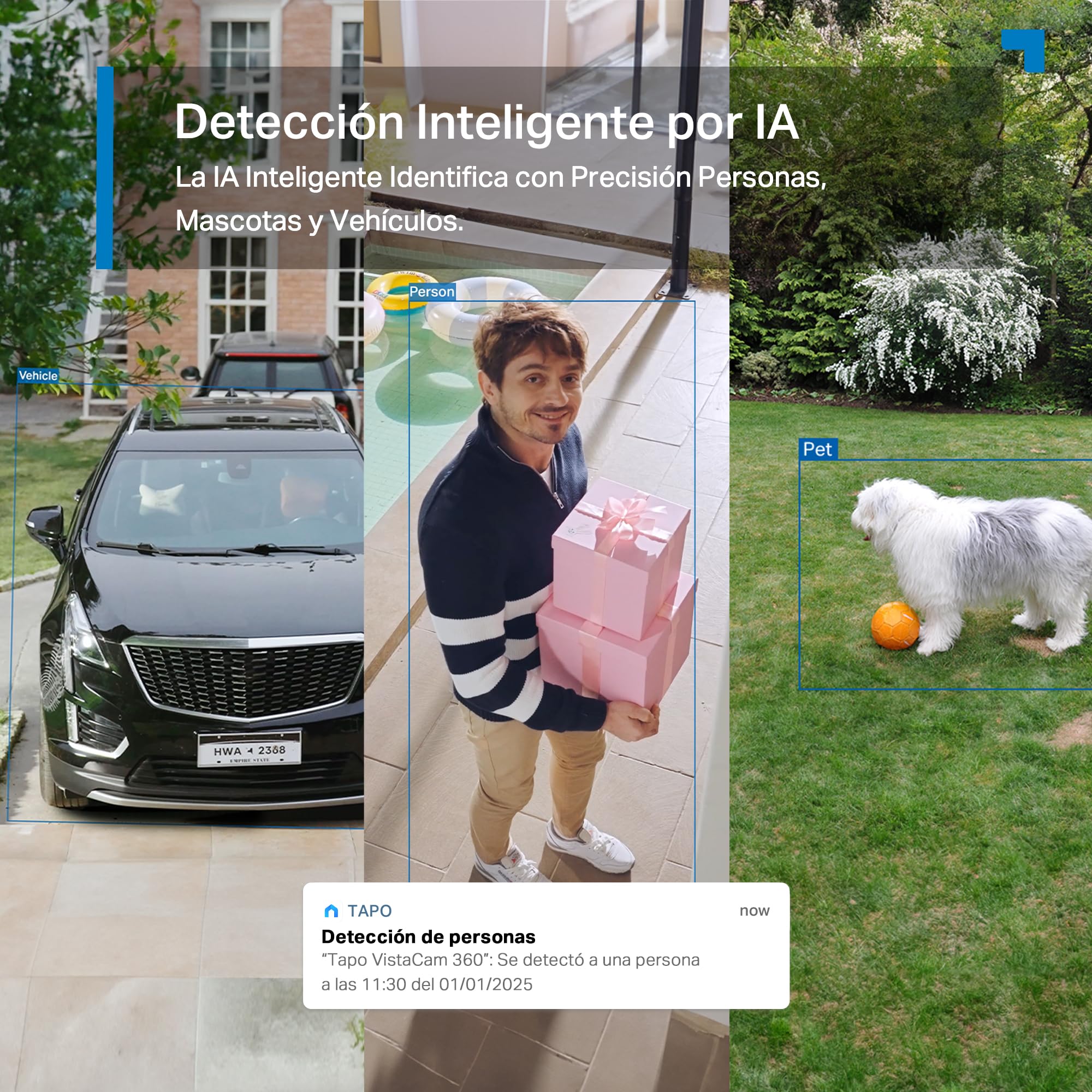 Tapo C660 Kit - Cámara Vigilancia WiFi Exterior 360º, Panel Solar, 4K 8MP | Detección de Movimiento, Personas, Mascotas y Vehículos. Batería 10000mAh. Visión Nocturna Color. Alarma Luz y Sonido. IP65.