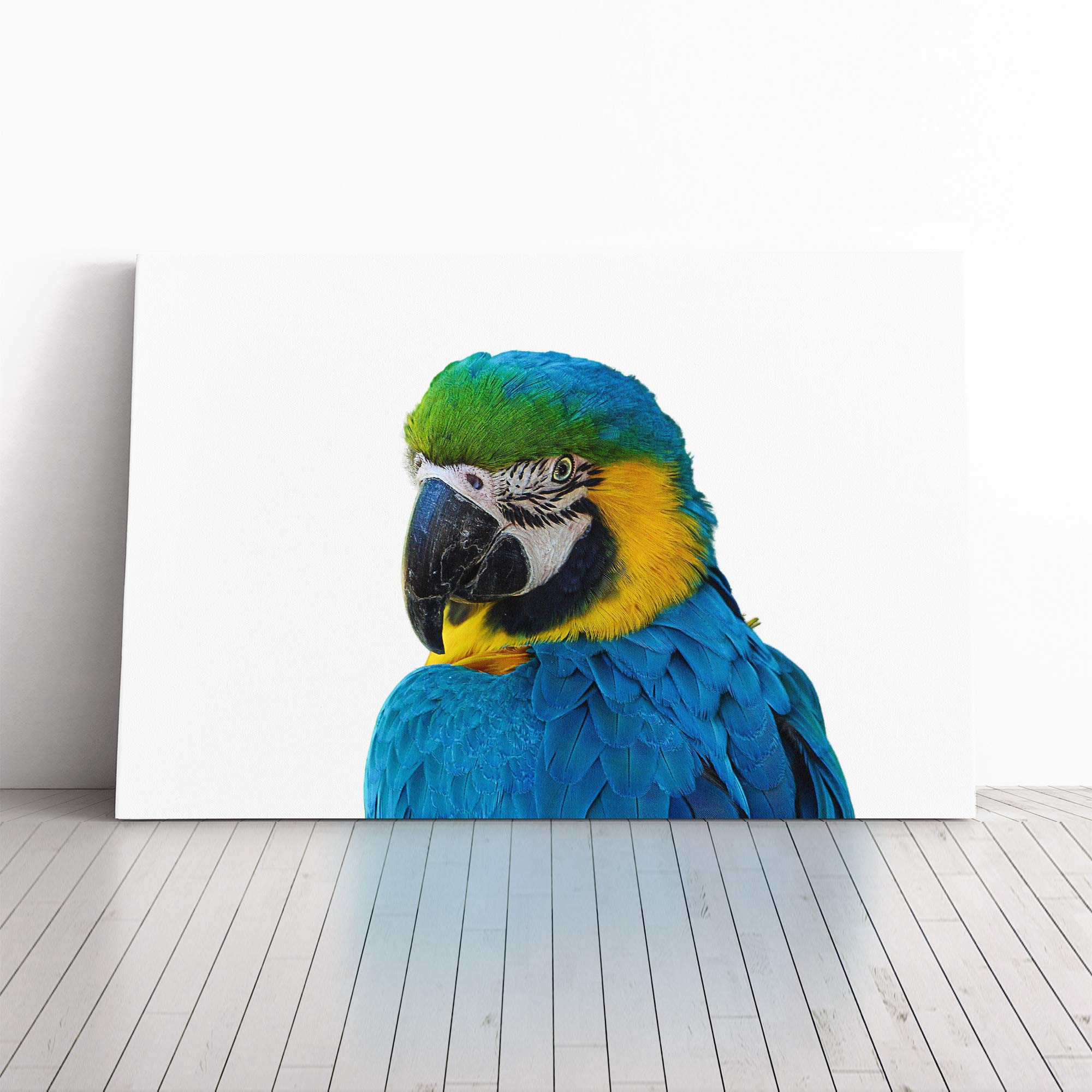 Blue Parrot Canvas Print | Gallery Wrapped 30mm Frame Wall Art | 30x20 inches | Ready to Hang | Modern Animals Picture | Living Room Bedroom Lounge Office