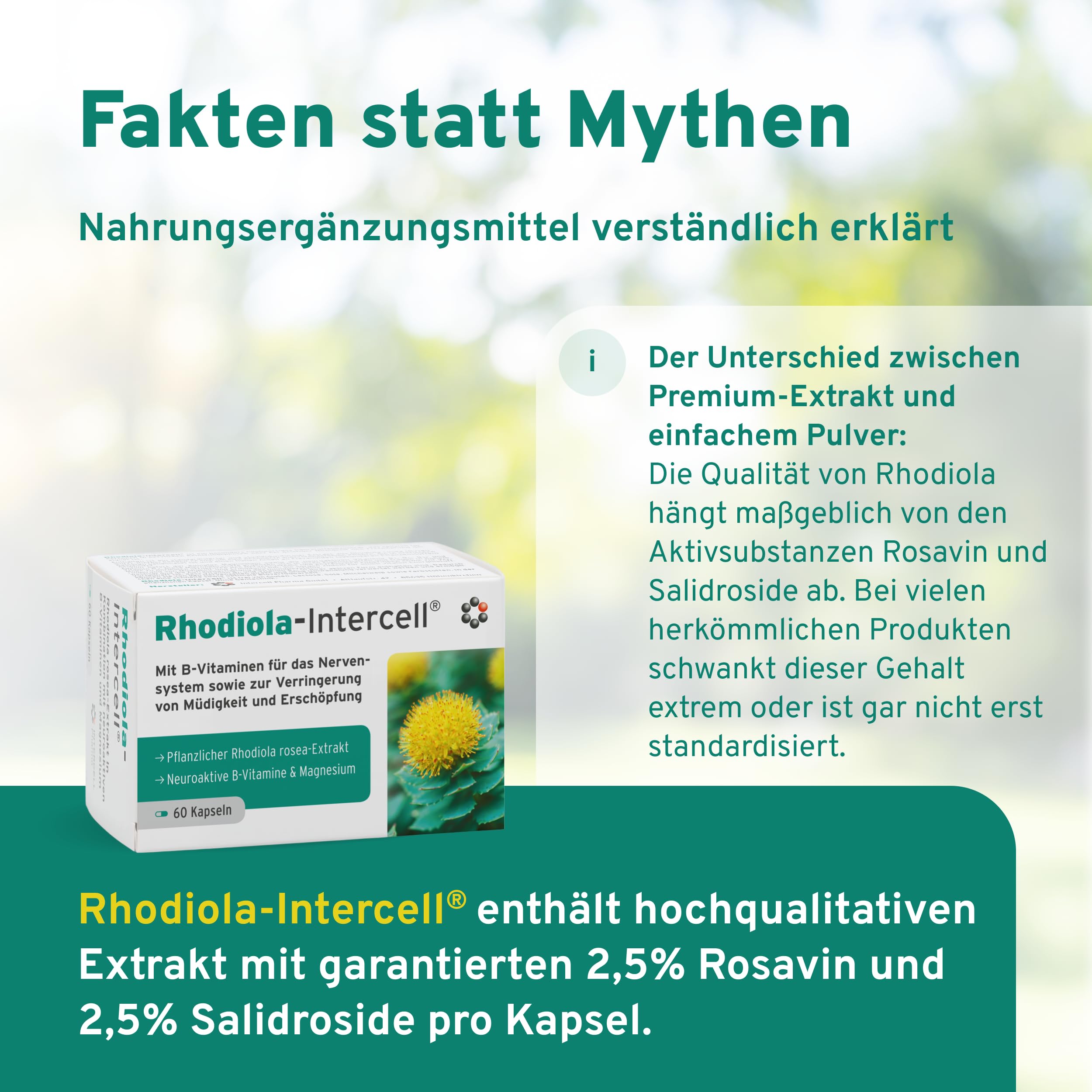 Rhodiola Intercell mit B-Vitaminen für das Nervensystem und Verringerung von Müdigkeit & Erschöpfung (60 Kapseln) - Rosea Extrakt mit Magnesium hochdosiert, Vitamin B1, B6, B12 & Vitamin D3