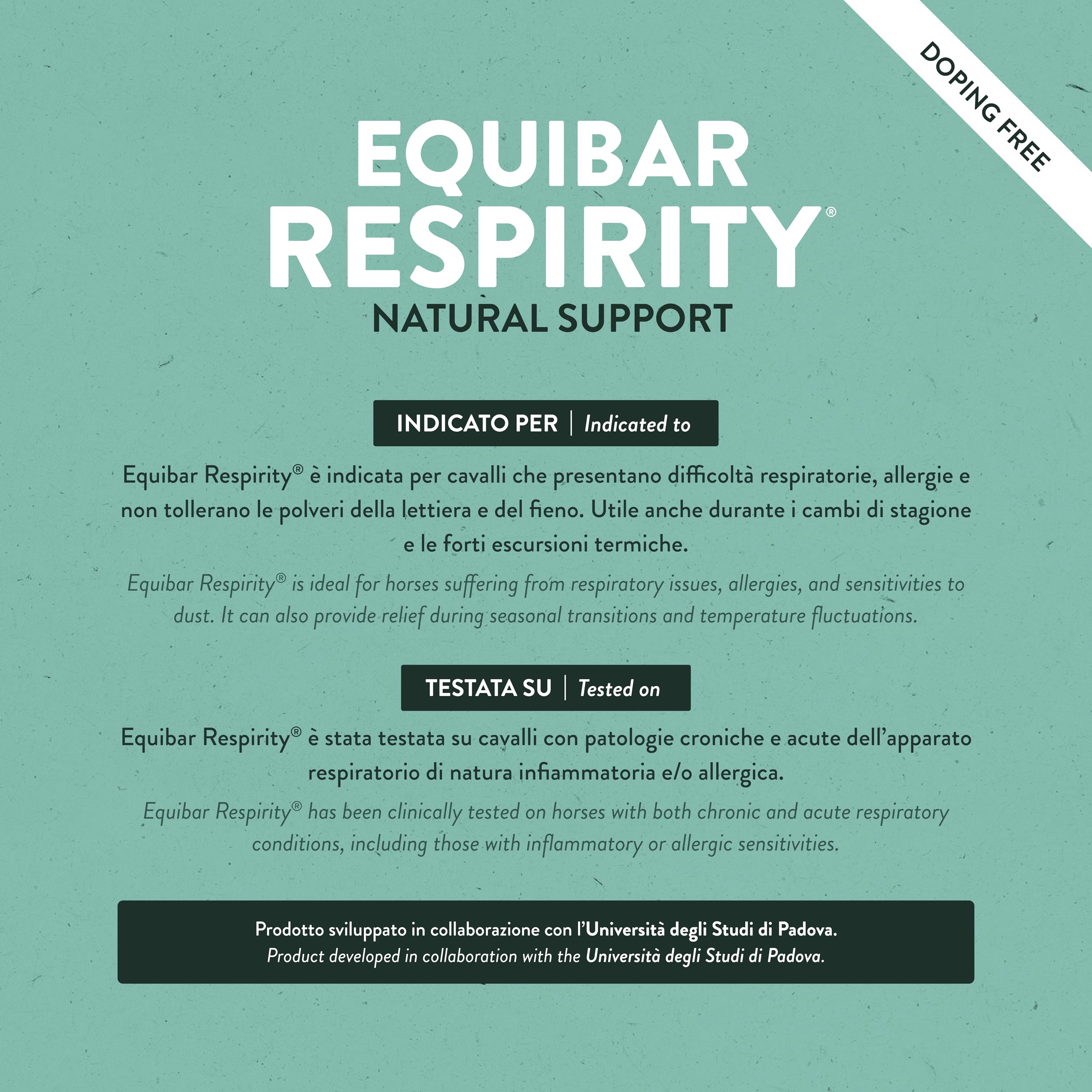 Guidolin Horses Equibar Respirity Barretta Funzionale per il Supporto dell'Apparato Respiratorio del Cavallo 100% Naturale Doping Free 600g per Cavalli