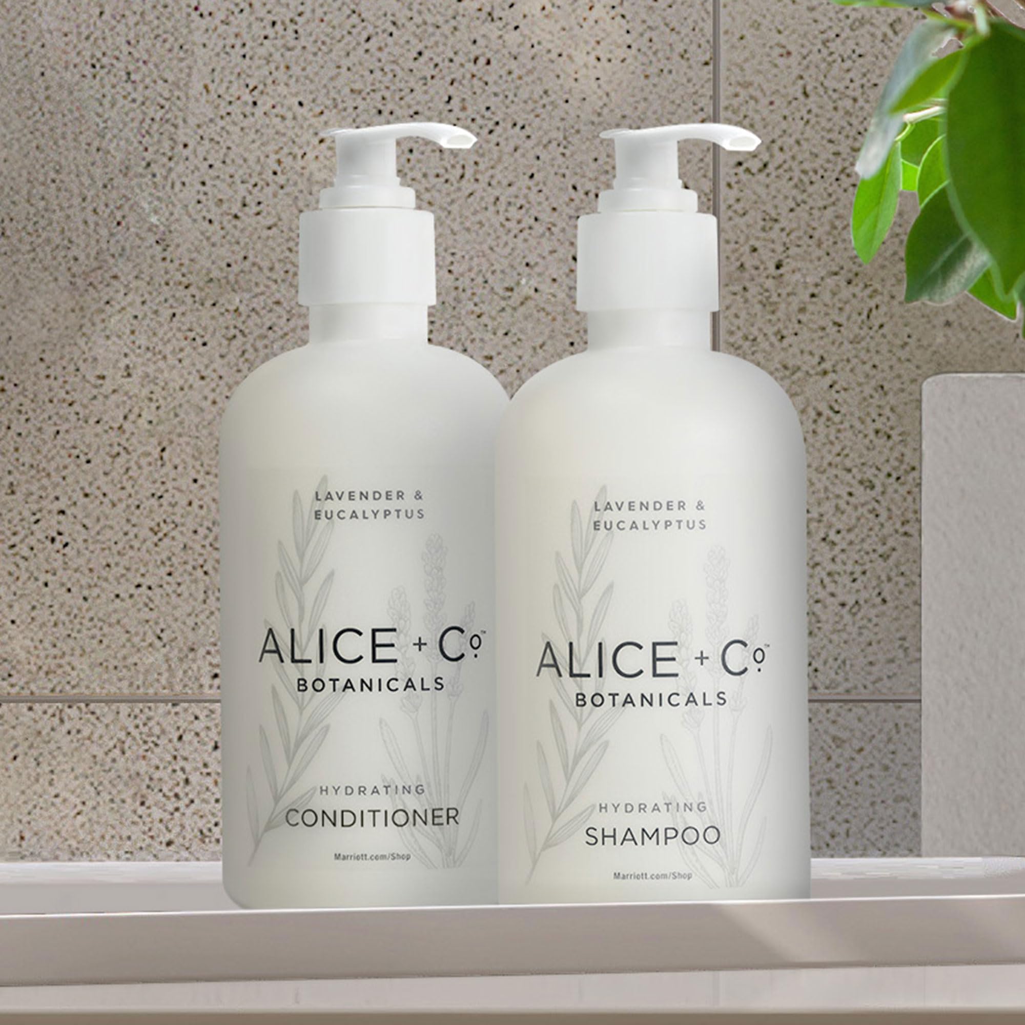 Alice + Co. Szampon i odżywka - Fairfield by Marriott - TownePlace - SpringHill - Hotel Bath Amenities - Lavender & Eucalyptus - Butelki do pielęgnacji włosów 8,5 uncji