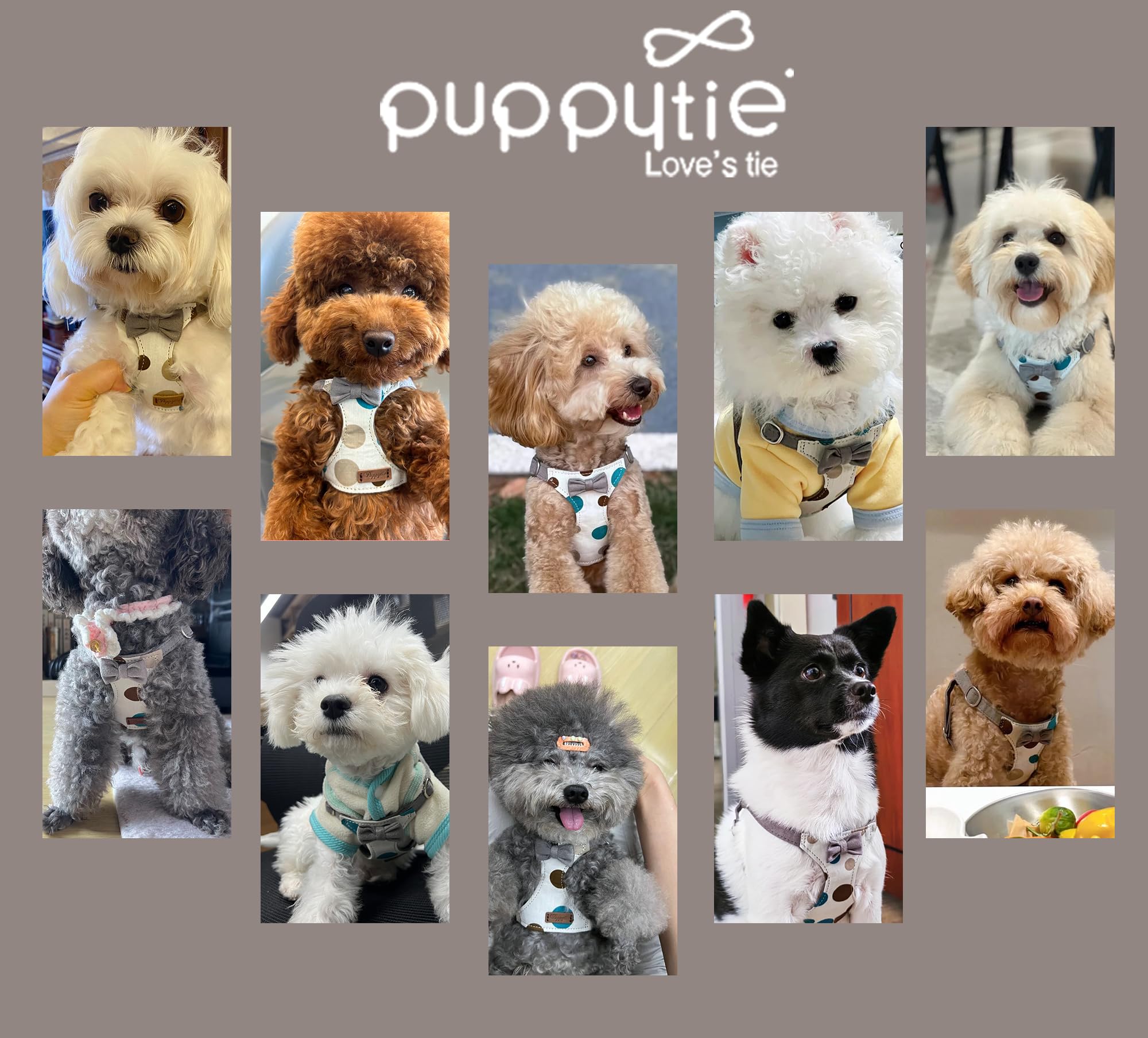 Puppytie Arnés para perro sin tirones con correa multifunción, suave y ajustable, no ahorca, chaleco a prueba de escapes, gris ahumado, XS