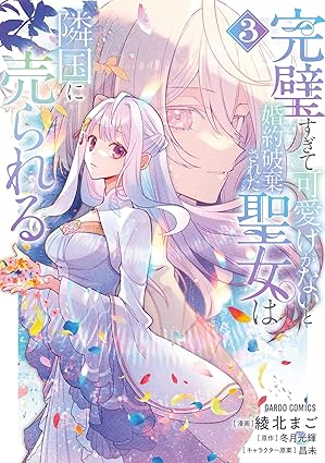 完璧すぎて可愛げがないと婚約破棄された聖女は隣国に売られる 3 (ガルドコミックス)