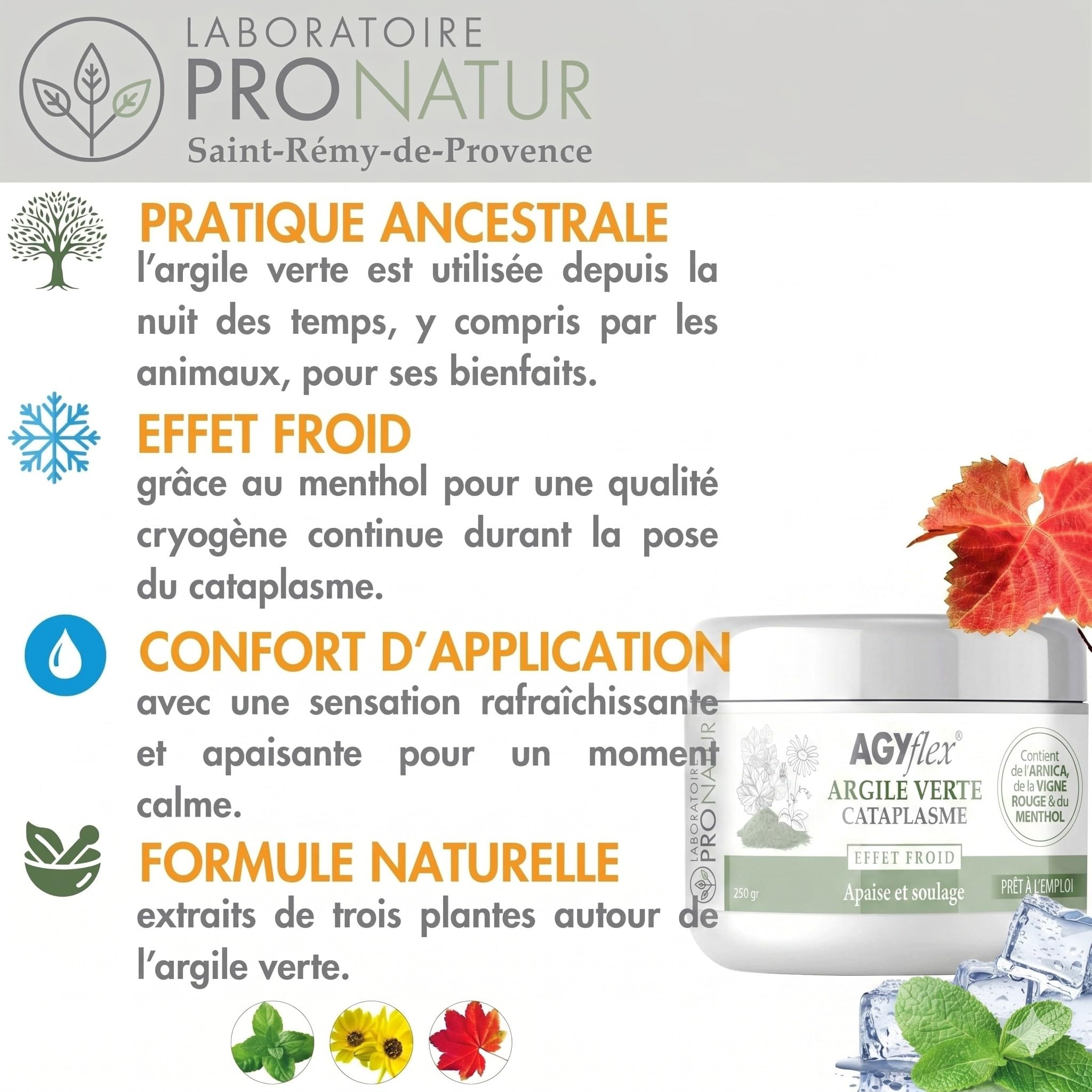 Cataplasme Cryo AGYflex ARGILE VERTE - Bien-être des muscles et articulations - Prêt à l’emploi - Vigne rouge, Arnica, Menthol - 250 g - Fabriqué en France