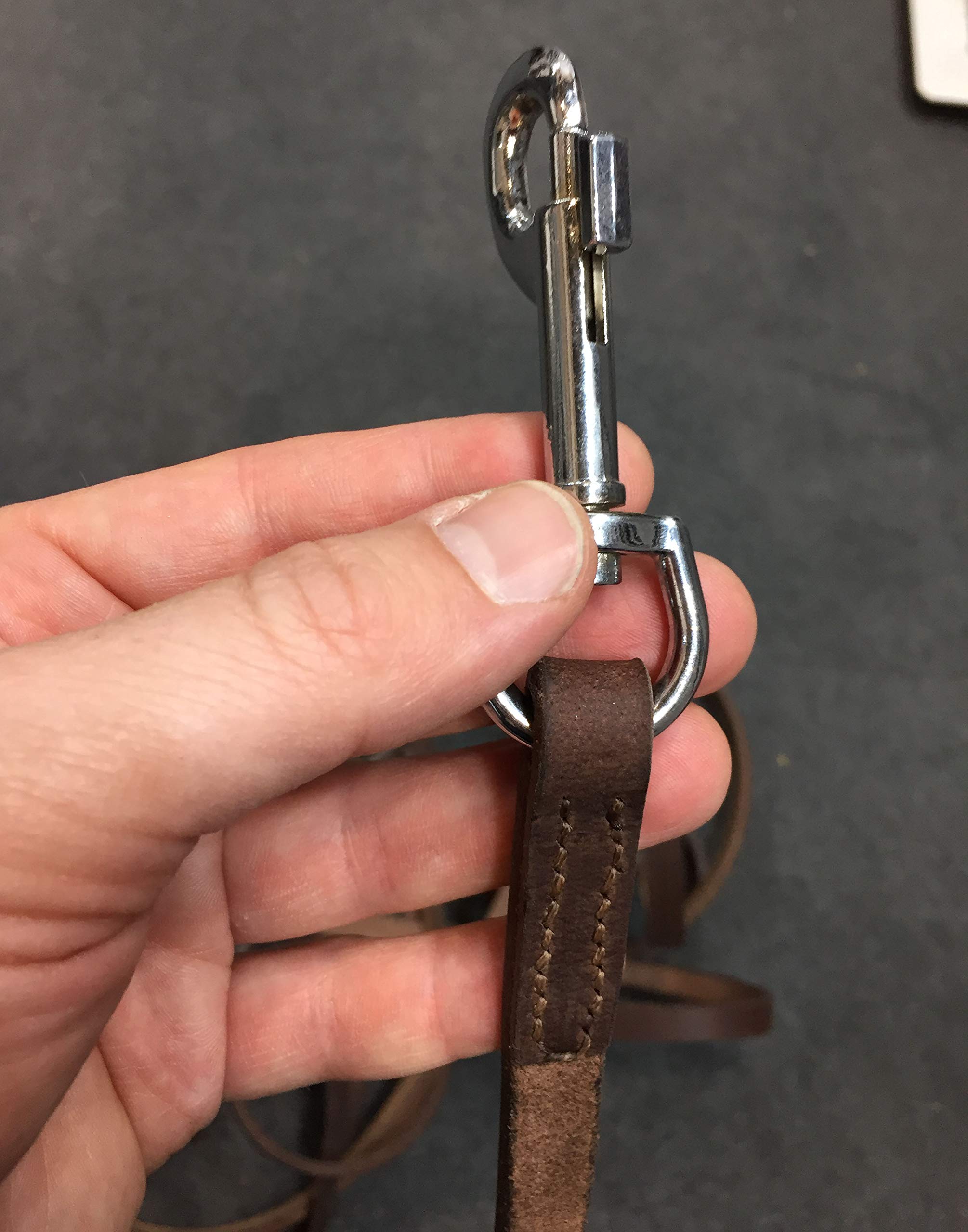 Laisse en cuir pour chiens Longueur 10 m - Pour tous les chiens - Laisse longe pour chevaux