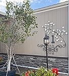 Review Image by Lina tran