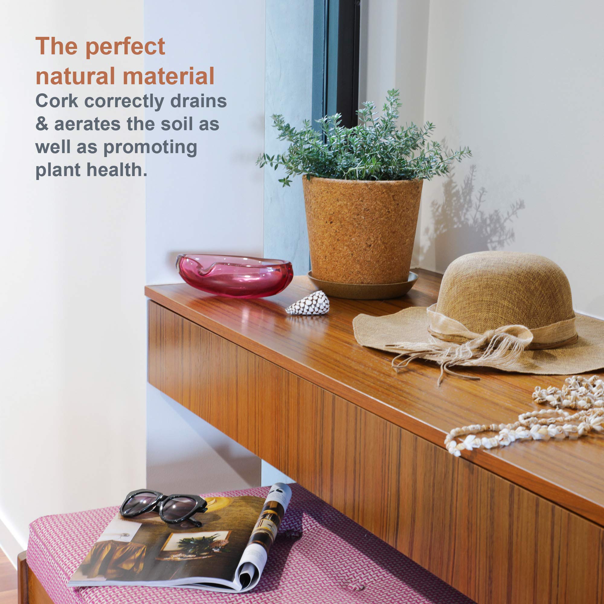 Amazon.co.jp: Wild Pact 7.5インチ コルク植木鉢 排水溝付き (粗粒