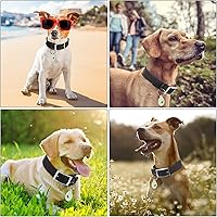 Vista 73 de Wisedog Waterproof Dog Collar: Multiple Adjust 7" to 23.6", Soft Rubber Coated Webbing, Easy to Clean, for Small Medium Large Dogs