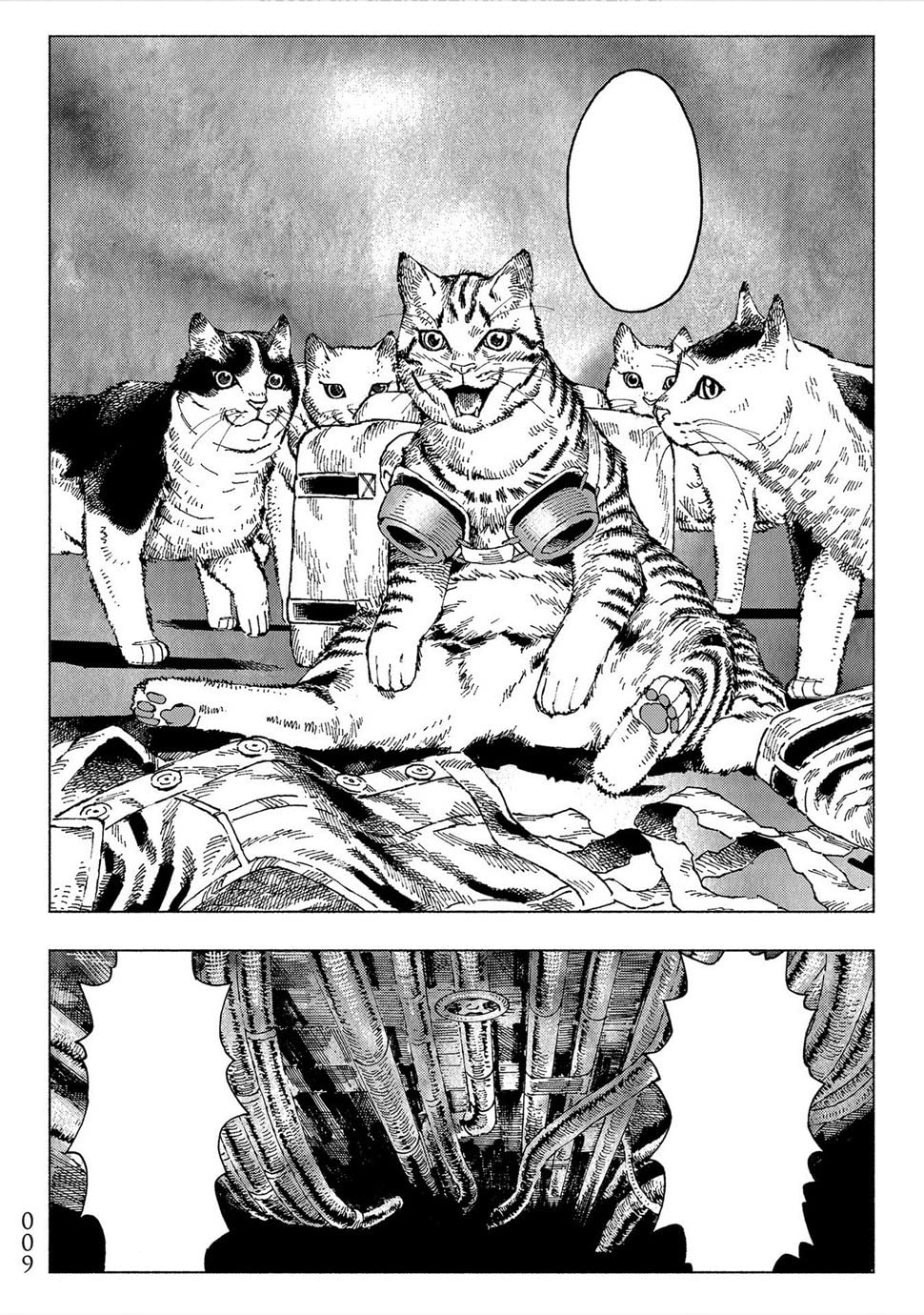 Night of the Living Cat Vol. 1