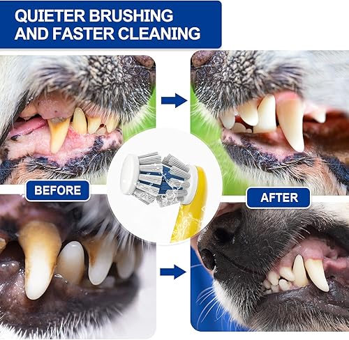 Miniatura 5 de Ninibabie Cepillo de dientes eléctrico para perros,Cepillo de dientes eléctrico sónico para perro,Nuevo kit de cepillo de dientes para perros de 360