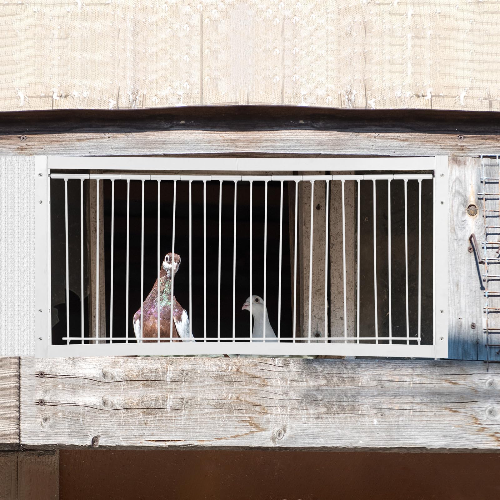 Puerta para Jaula de Aves de Hierro Blanco Forma en T Que Previene Escapes y Robos para Entrenamiento y Carreras de Pájaros