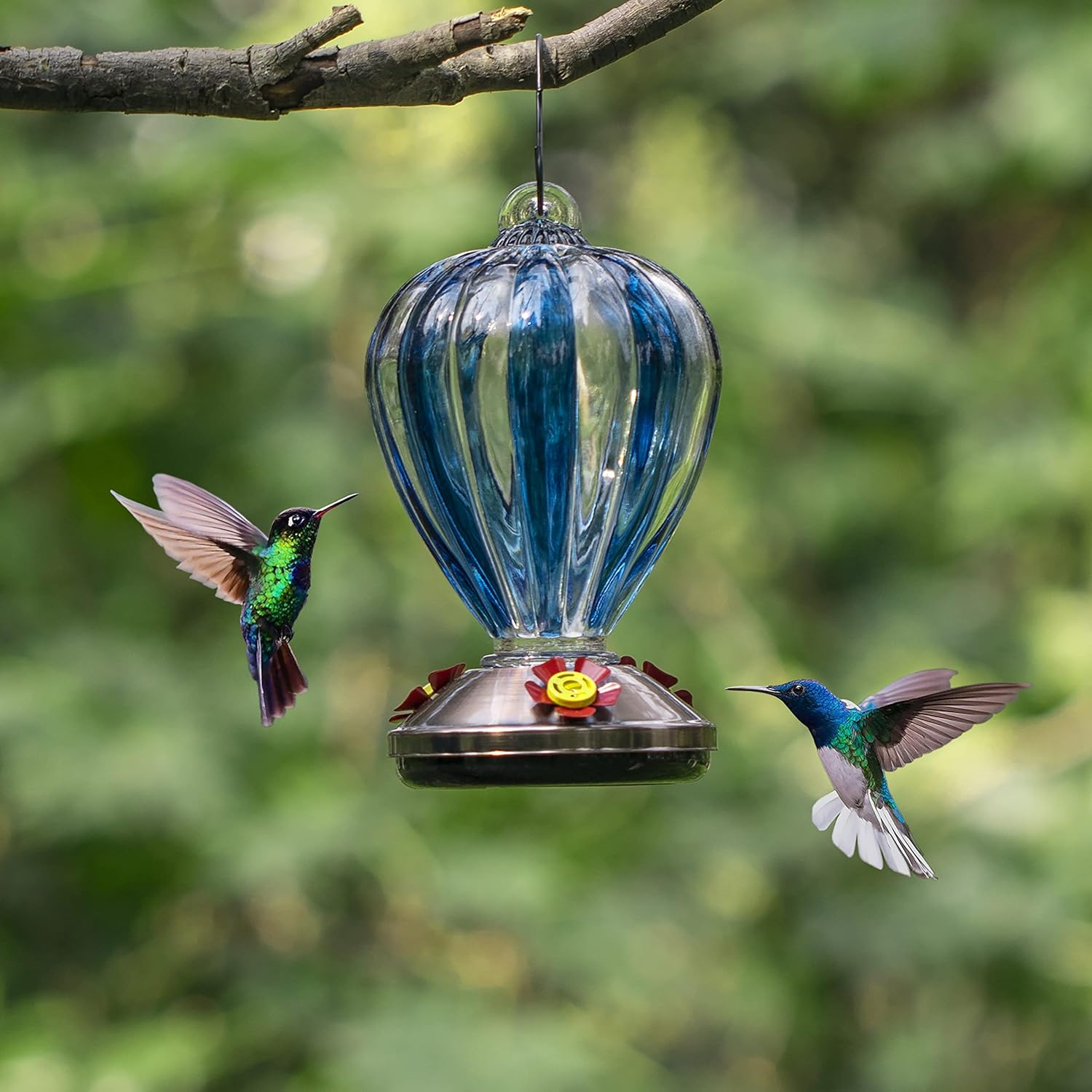 Unique 30oz Glass Hanging Hummingbird Bird Feeder for Wild Birds - Garden Decoration Gift, Easy to Install Clean Refill, Includes Hook