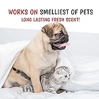 Vista 5 de Warren London Wet Kiss - Aerosol de colonia para perros, leche y miel, eliminador de olores de 2 onzas y ambientador para perros y gatos