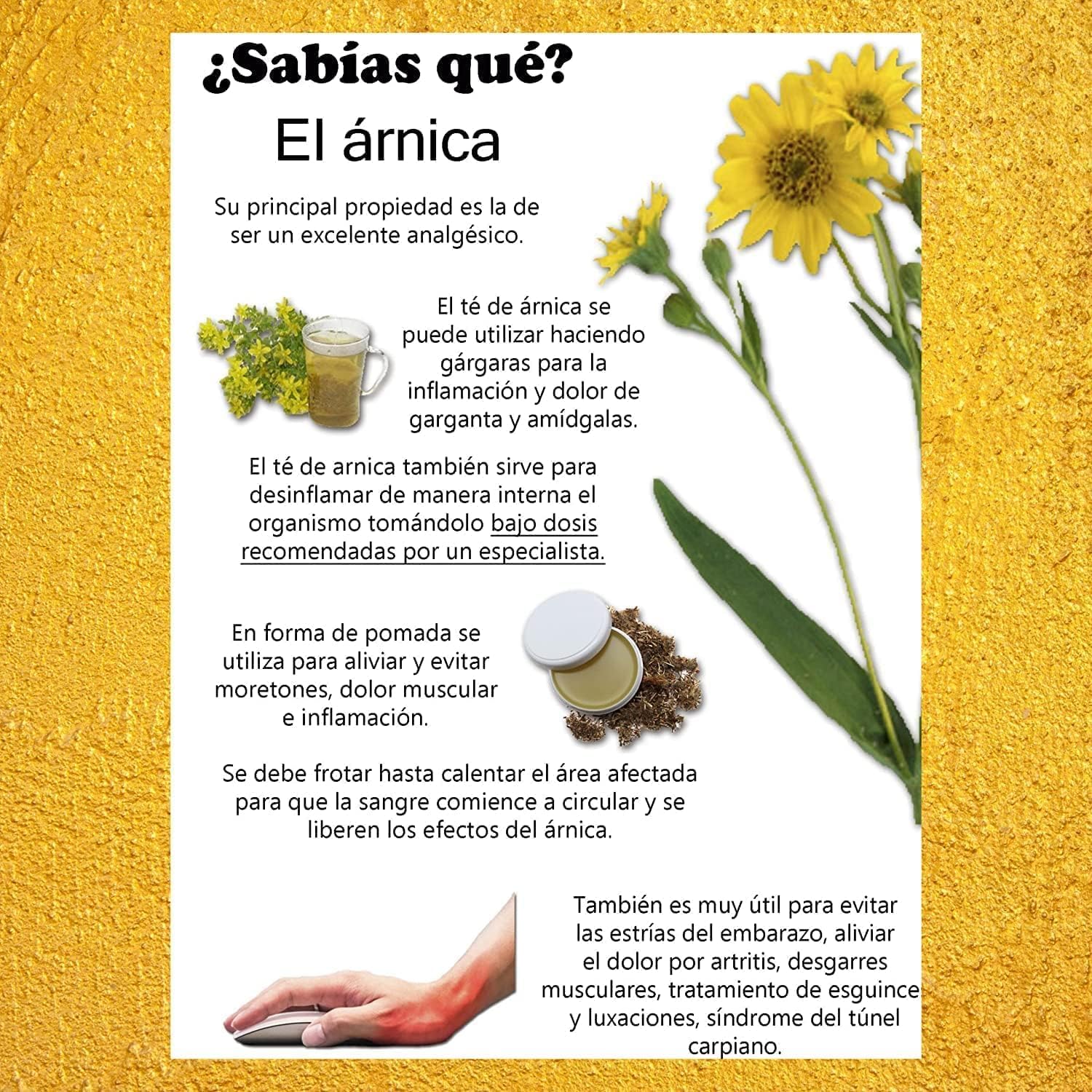 Sin Dolor Crema Arnica 2 Unds [ Alivia El Dolor En Articulaciones Golpes Artrosis Huesos y Musculos Relaja las Piernas Cansadas e hinchadas Fabricado en Alemania 250ml X 2 Unds