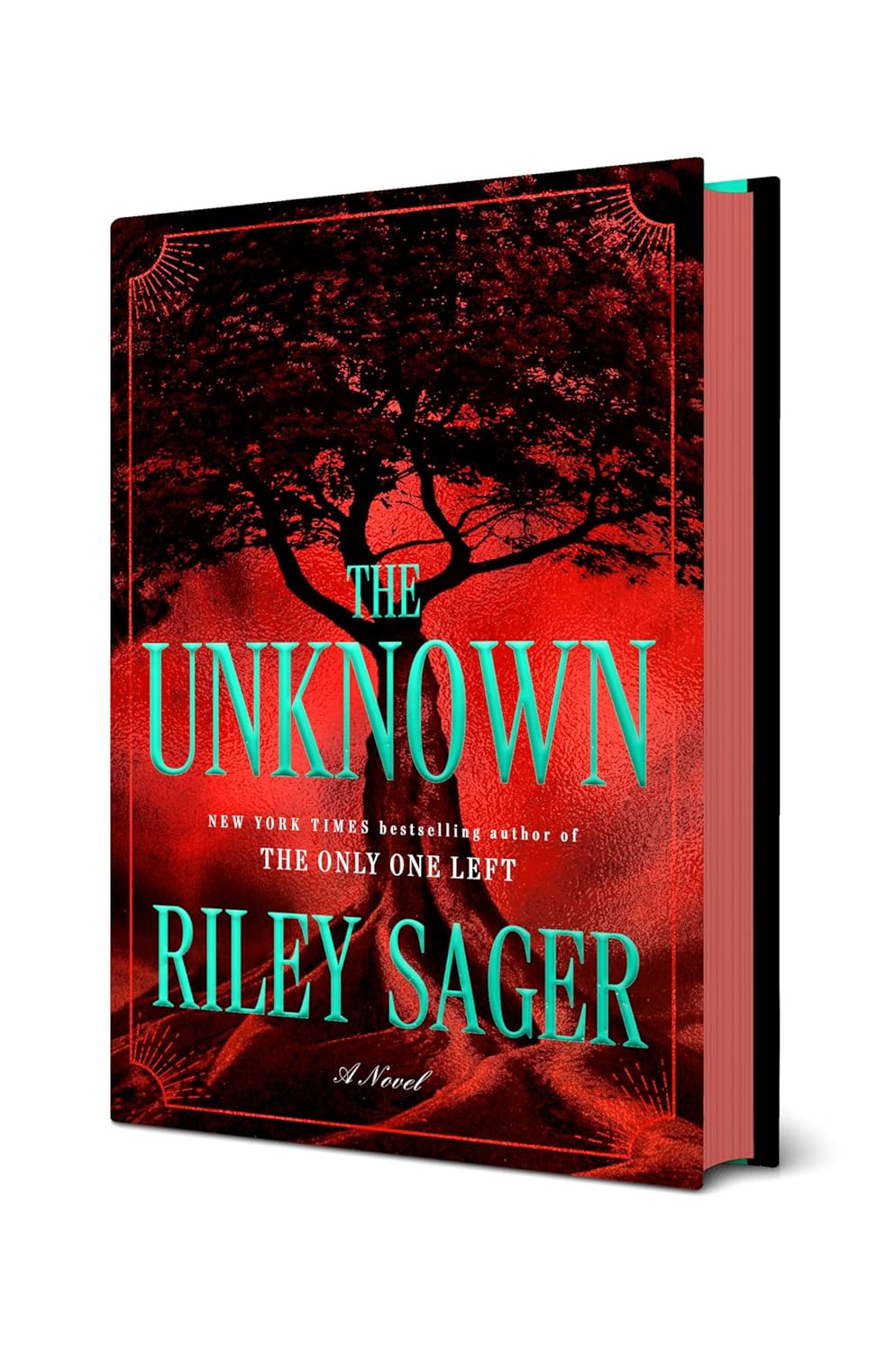 The Unknown: A Novel      Hardcover – August 4, 2026