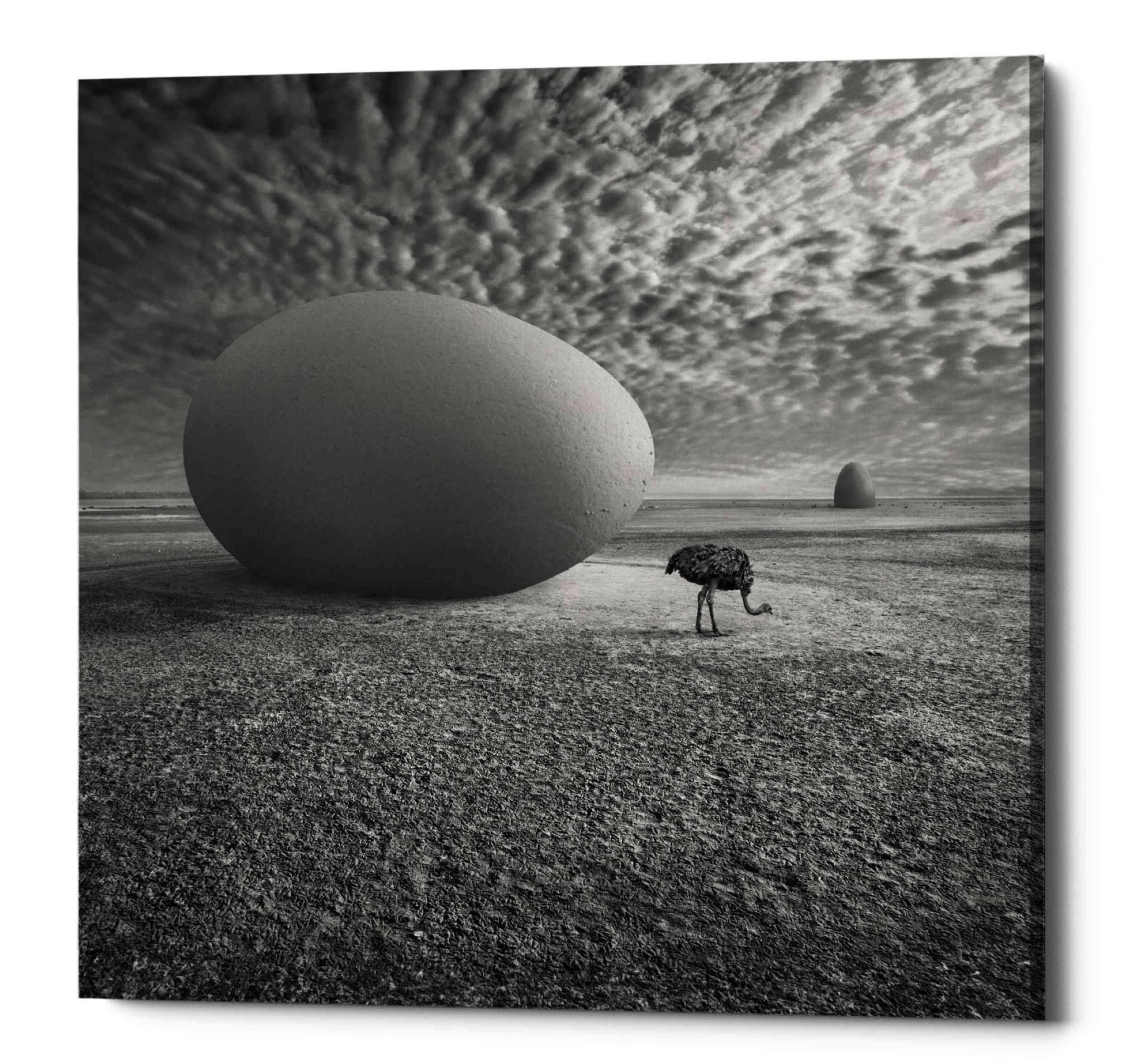 Epic Graffiti 'EggO' by Dariusz Klimczak, Canvas Wall Art, 12"x12"