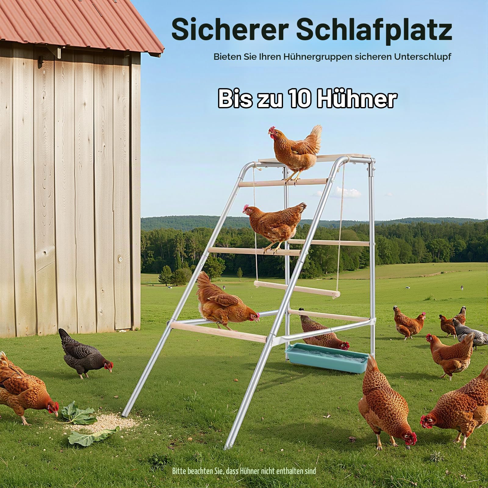 Sitzstangen für Hühner, Kletterturm, Hühnerspielzeug, Hühnerschaukel Hühnerleiter, Hühner Zubehör, für Hinterhofgeflügel, Hühnerstall,Bauernhof, für Enten, Tauben, Wachteln Einfach zu Mon