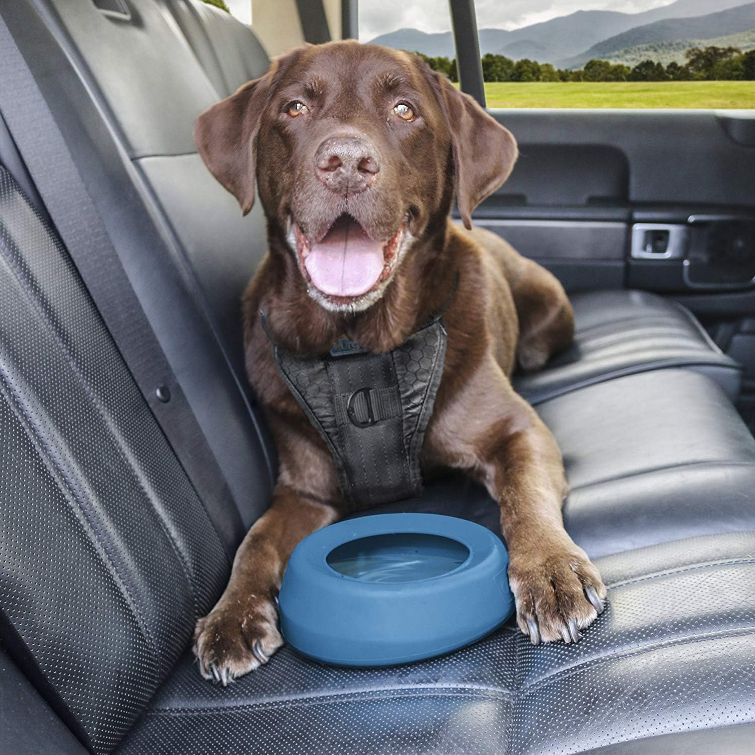 Coastal Blue Silicone Splash-Free Dog Water Bowl
