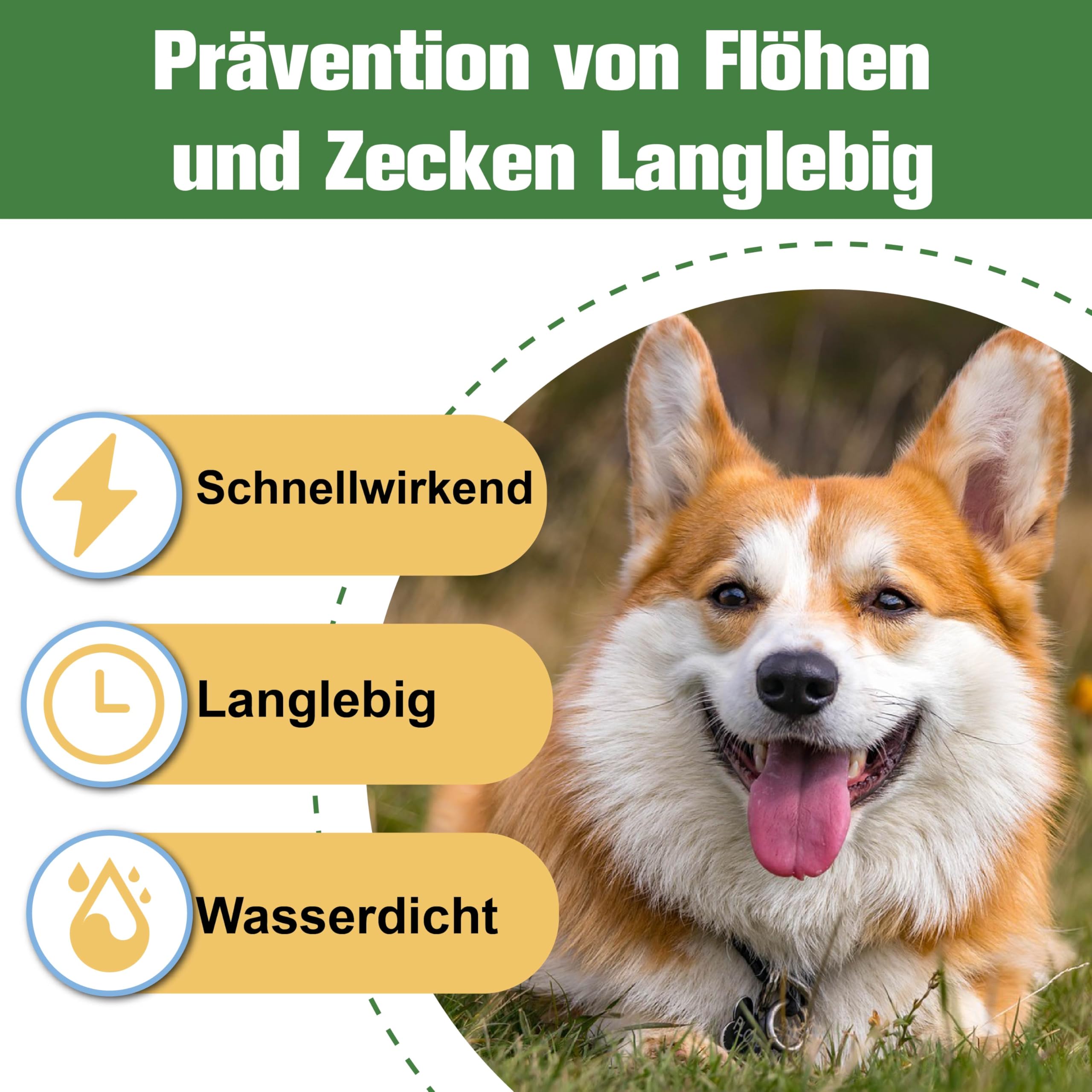 Zeckenschutz für Hunde 6 Pipetten, Spot On Hund, Zeckenmittel für Mittlerer Hunde 10 bis 20 kg, Hunde flohmittel entwurmungsmittel für Hunde, gegen Flöhe & Zecken