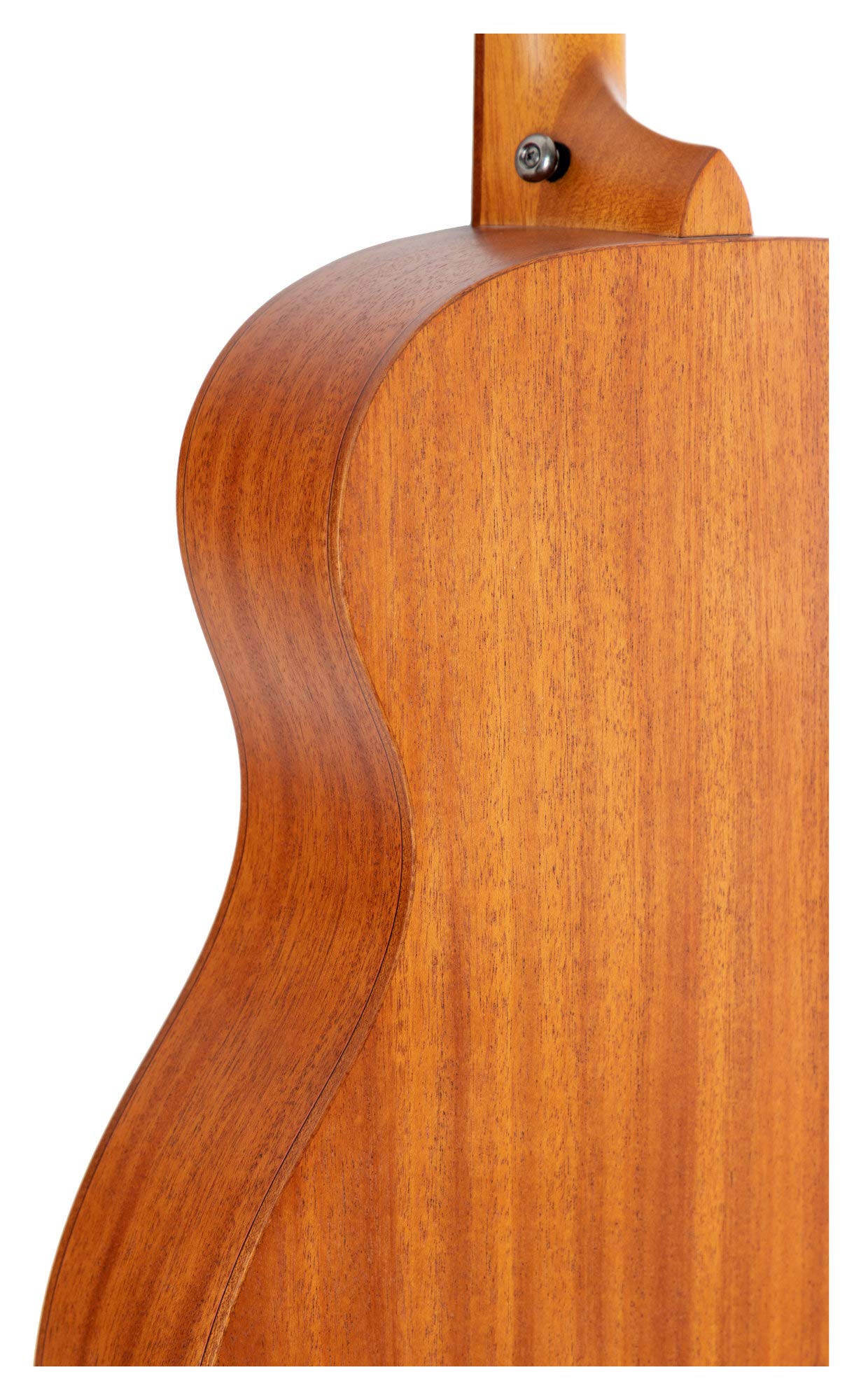Shaman WSF-10 NT Folkgitarre, Korpusform: Folk, Decke: Fichte, X-Bracing | Boden & Zarge: Mahagoni, Hals: Okoume, Steg: Walnuss, Sattel und Stegeinlage: ABS Kunststoff, Griffbrett: Black Richnite