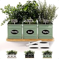 HBDesignCo Indoor Herb Planter Kit - 3 Rust-Resistant Iron Pots with Drainage, Bamboo Tray, Chalkboard Labels for Kitchen Windowsill Garden