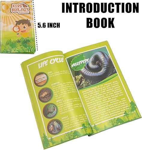 Miniatura 12 de Juego de 6 muestras de insectos de resina, mariposa, escarabajo de rana joya, polilla de seda, chafer, chafer, chinche, avispa, juguete educativo