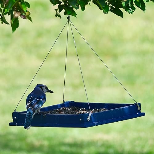 Miniatura 4 de Songbird Essentials Wild Bird Food, mezcla especial de semillas para pájaros premium, bolsa de 5 libras, con nitrógeno