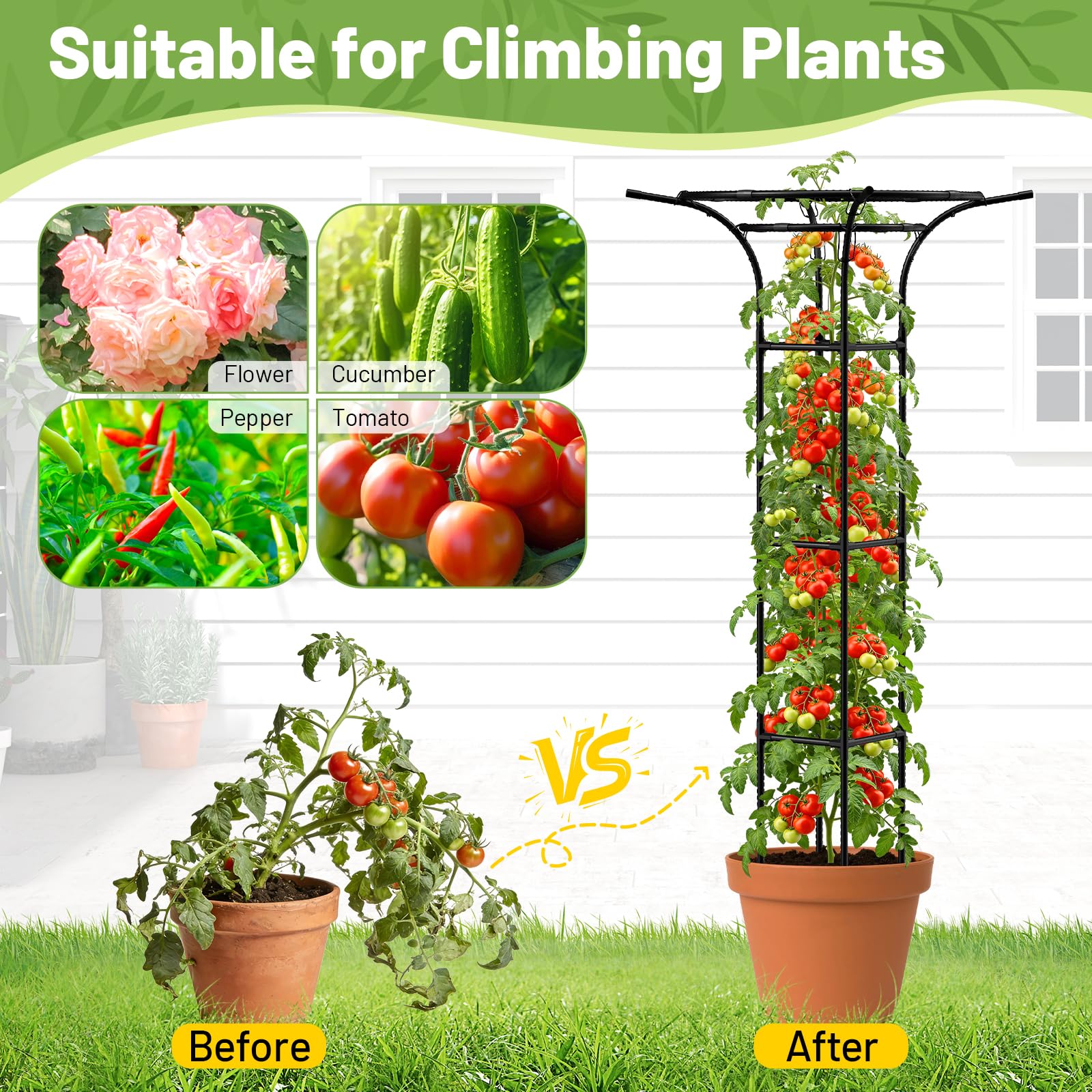 Lot de 2 Treillis de Jardin pour Plantes grimpantes en Plein air, 165 cm, Treillis en Forme de Champignon pour Plantes grimpantes, Support de Treillis pour Plantes en Pot, Vigne, Rose, clématite