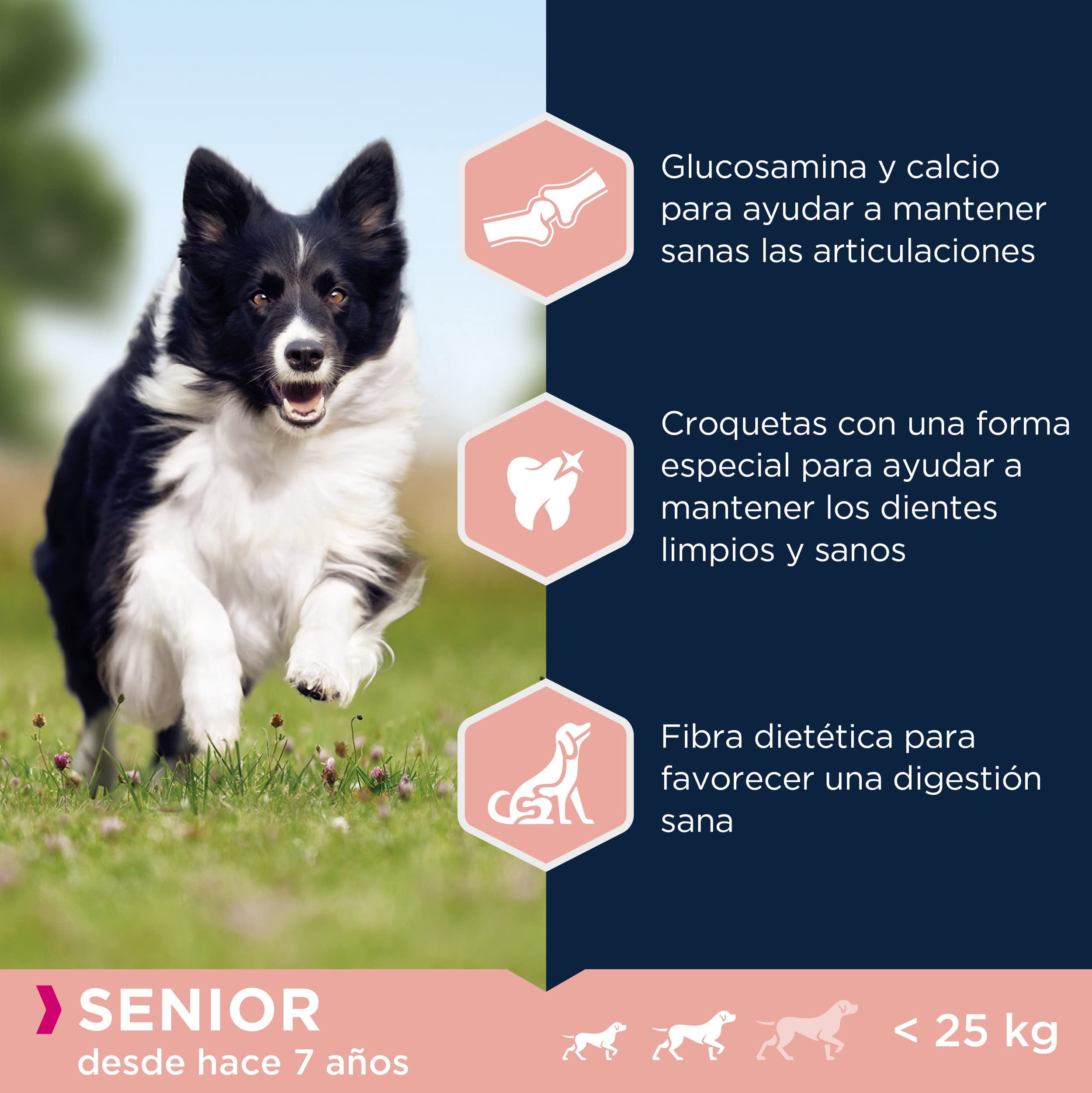 Eukanuba Alimento seco para perros senior de razas pequeñas y medianas, rico en cordero y arroz, 12 kg