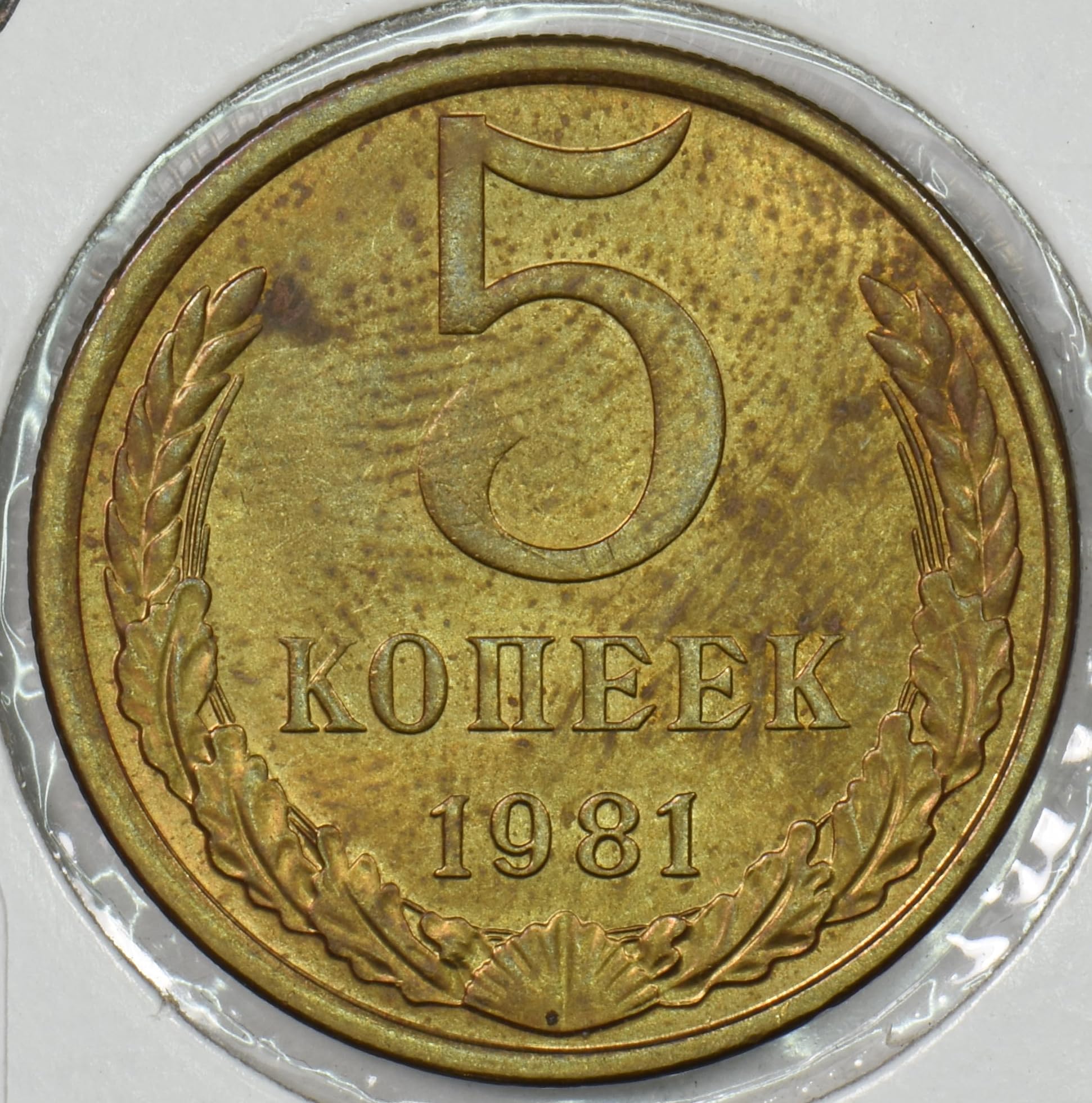 1981 IE Russia USSR 1981 5 Kopeks P190551 DE FAIR