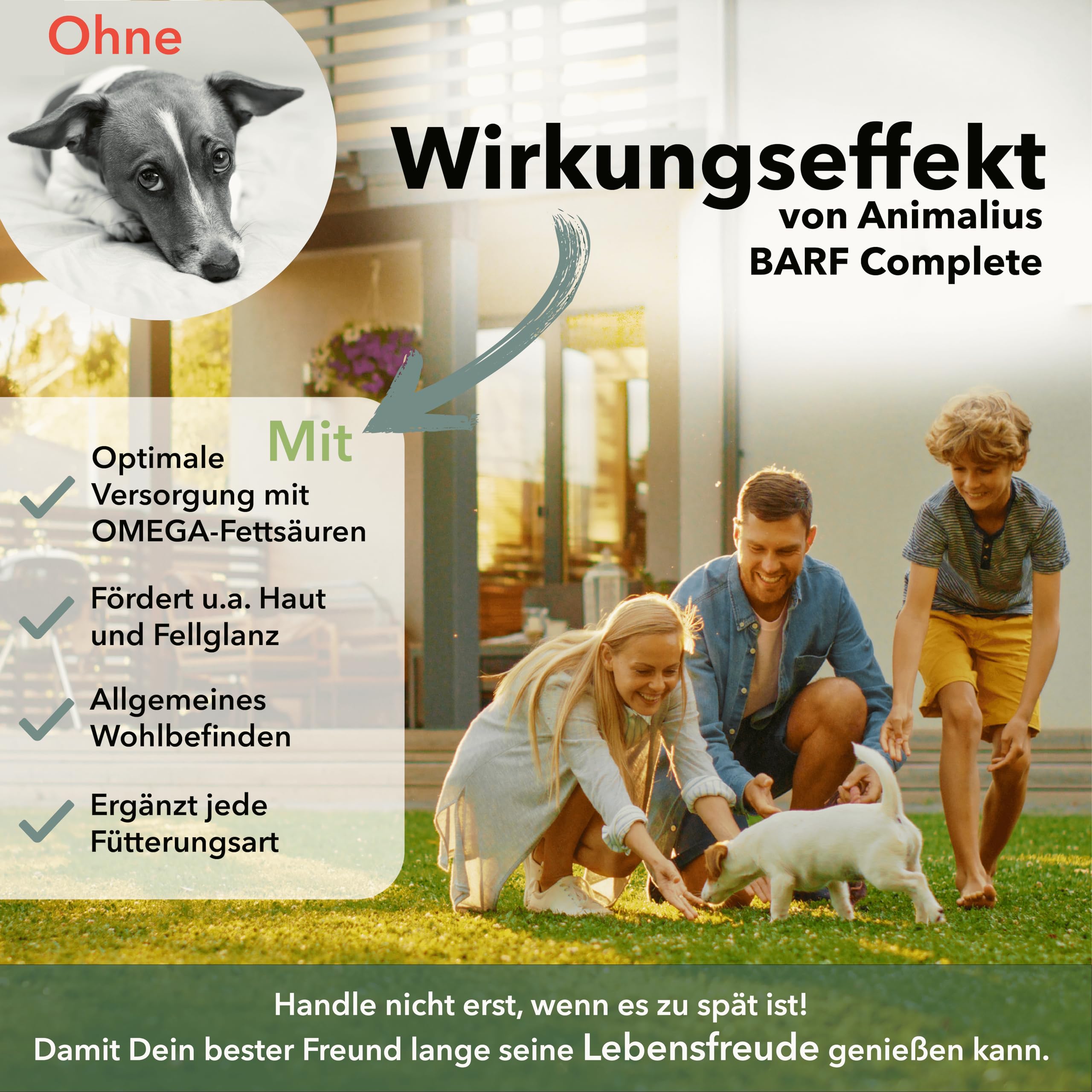 Olio Barf Complete per cani | Olio per mangimi premium Barf con olio di salmone, lino, semi di canapa, enotera e borragine, 500 ml