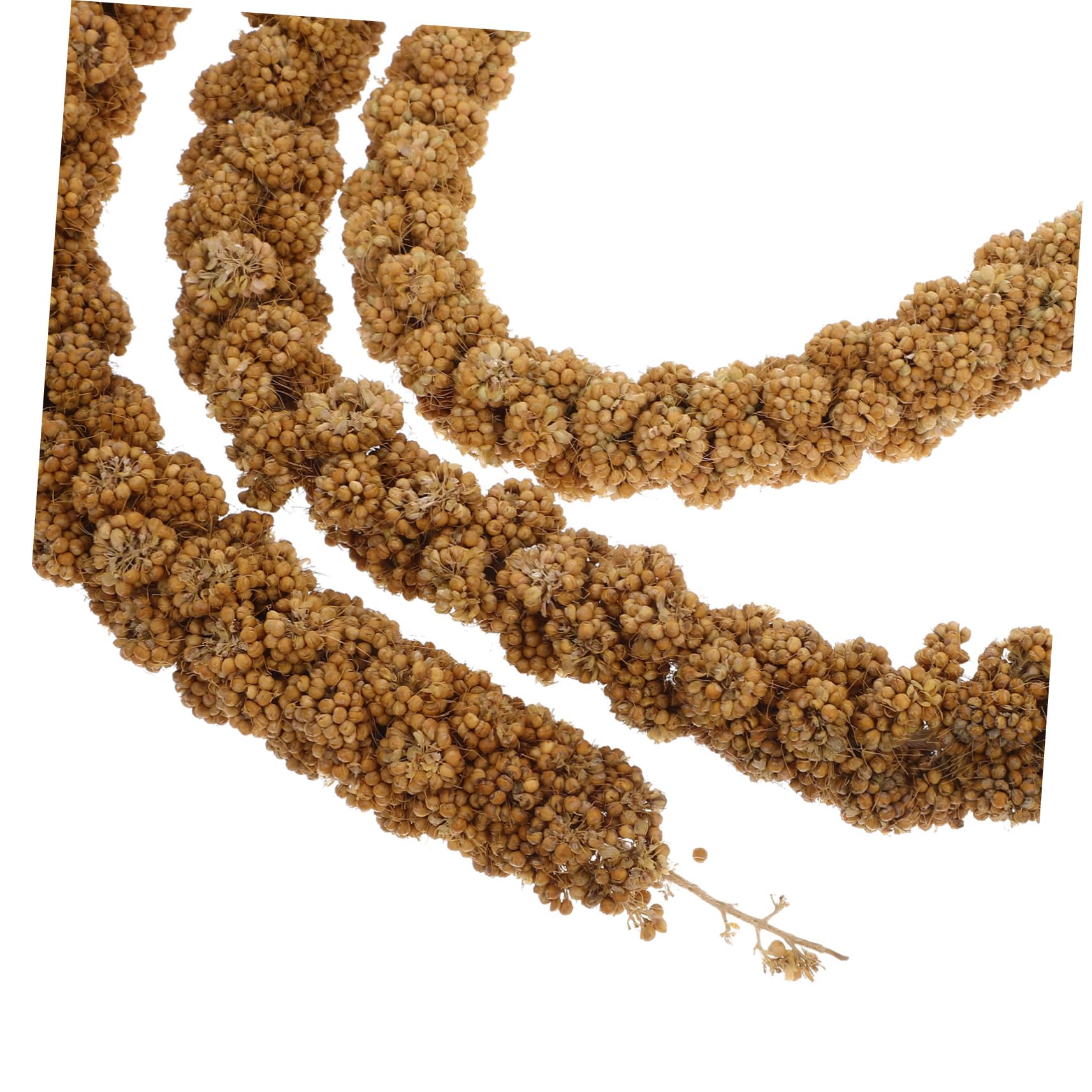 Aquatic Foods Inc. Pearl Flower Horn Cichlids, Red Parrot Cichlids 2mm - 1/16