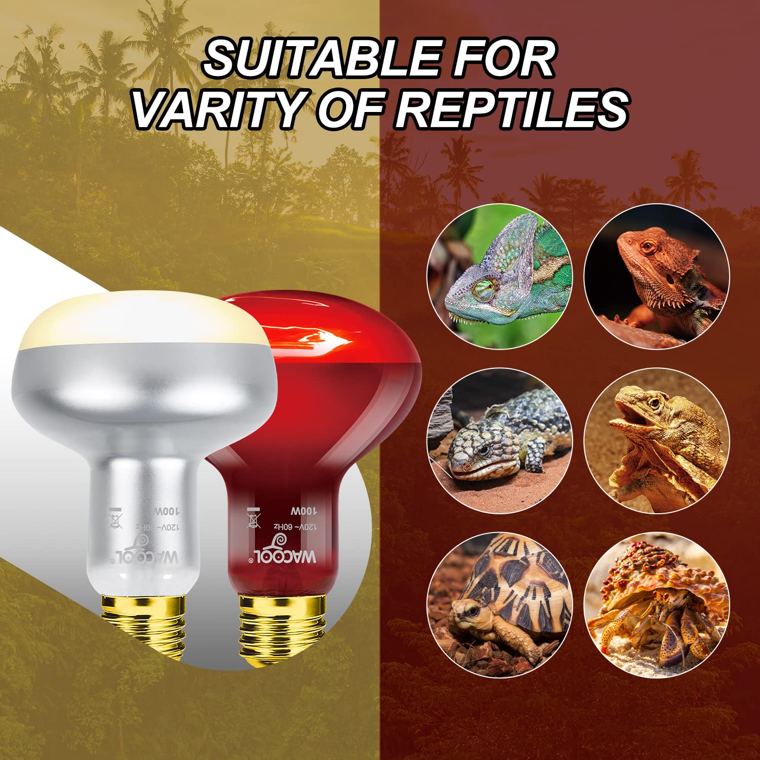 WACOOL 4Pack Reptile Heat Lamp Day & Night Kit 100W, Nature Simulated Basking Daylight & Nightlight UVA Heat Lamp Bulbs for Reptiles & Amphibians - image 2