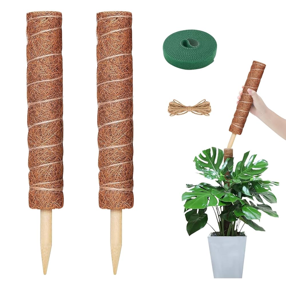 Amazon | YOUSHYモンステラ 支柱 観葉植物 園芸支柱つる性植物