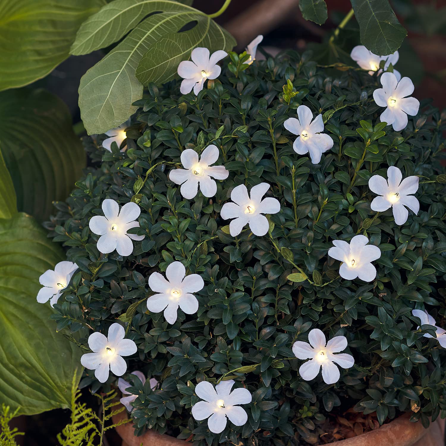 Lights4fun Outdoor White Flower Fairy Lights Artificial Floral Garland Spring Summer Decoration with 20 Warm White LEDs Outdoor Use (L) 2m