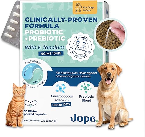Jope Synbiotic GB-01 - Prebióticos y probióticos para perros y gatos - Fórmula clínicamente probada - Formulado por veterinarios para la salud