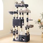 Gitelsnour Arbre de chat, Tour de chat lourd pour les grands chats adultes, Tour d'arbre de chat principal avec hammam, 2 Gros Perches, 2 Condos pour chats forIndoor Chats 20 lbs+, 15 Postes de scratching, gris fumé GCT033G
