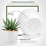Utopia Home Boîte de 5 - Pots de plantes en plastique - Planteurs pour Plantes Intérieures Saucer Tray - Pots de chambre de bébé à l'intérieur avec trous de drainage, pot sucillant (blanc)