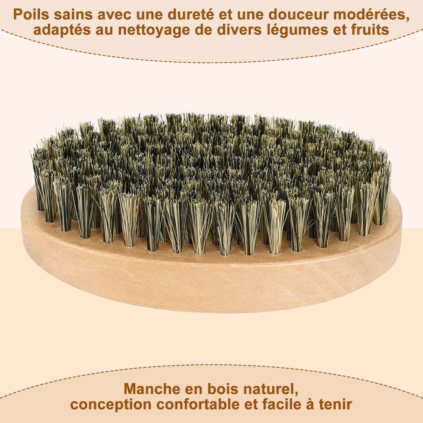 AUGSUN Brosse à Légumes, Brosses à Récurer pour Plats Fruits et Légumes, Brosse de Nettoyage pour Cuisine Jardin et Ménage