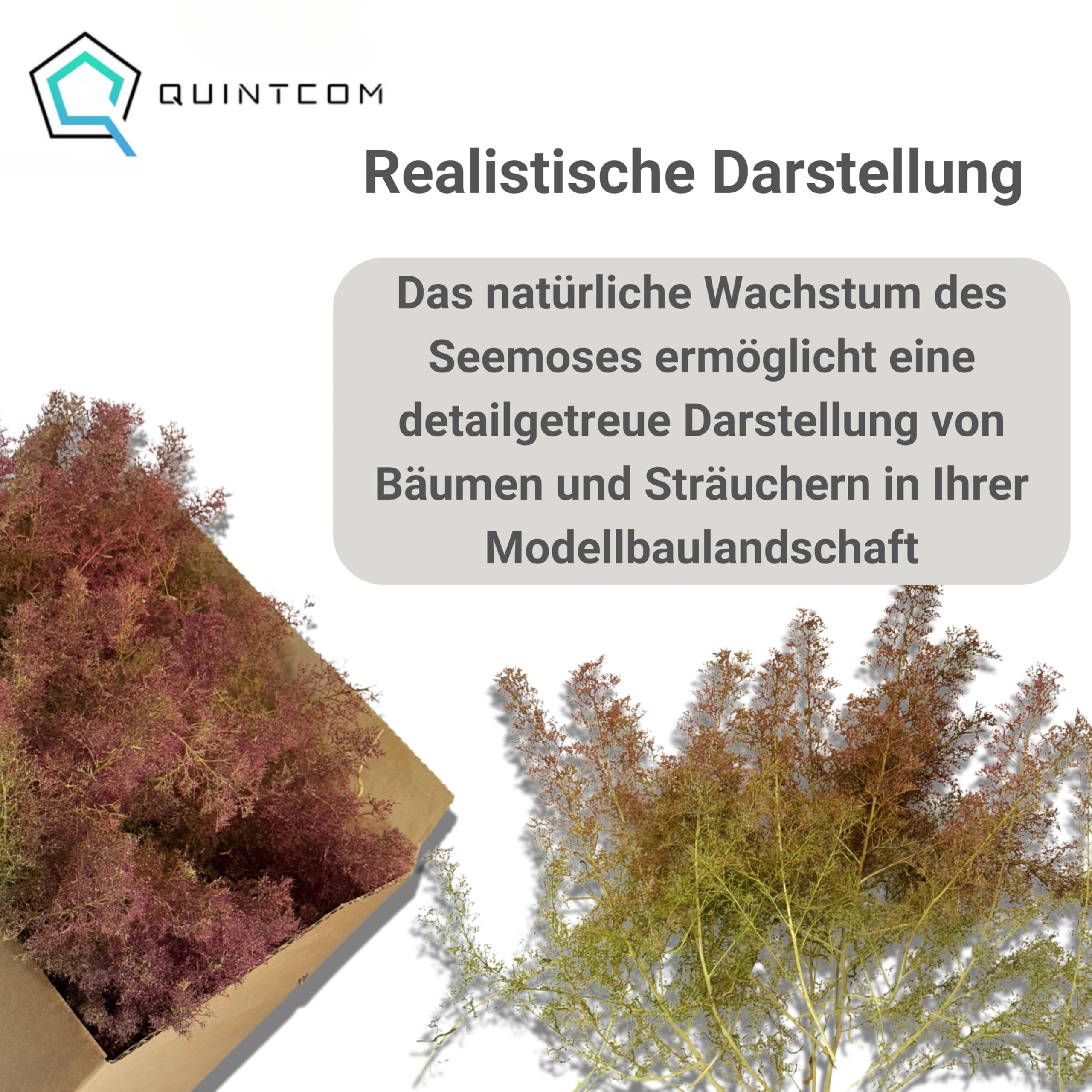 Meerschaum/Seemoos Modellbau Zubehör Pflanzenmaterial für Bäume und Büsche in Modellbauwäldern. Sea Moss für Modellbäume Karton 30cmx20cmx14cm Architekturbäume