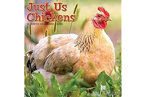 Just Us Chickens 2024 Calendar: Get Your Daily Dose of Chuckles