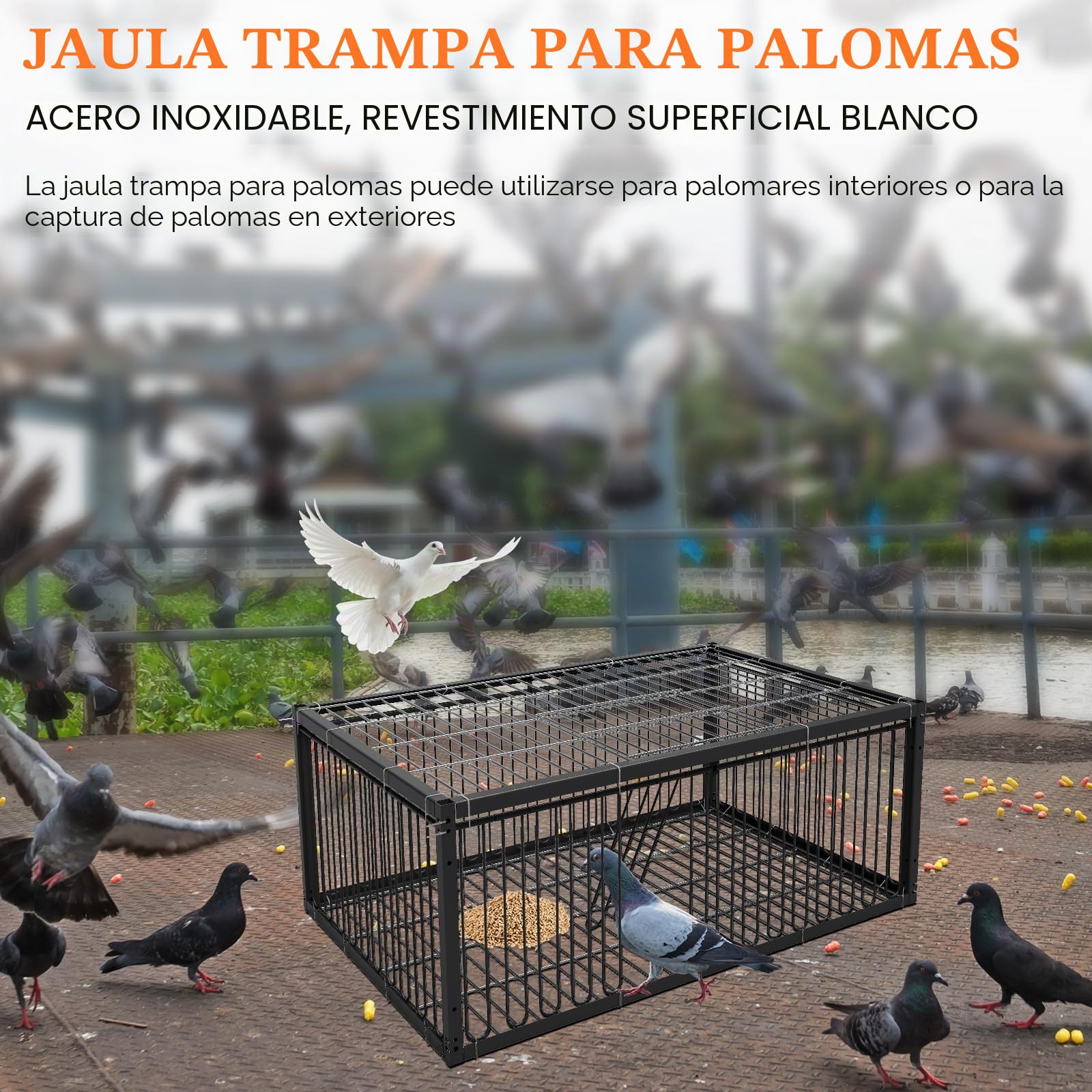Jaula para palomas, 60 cm, para recoger codornices (negro)