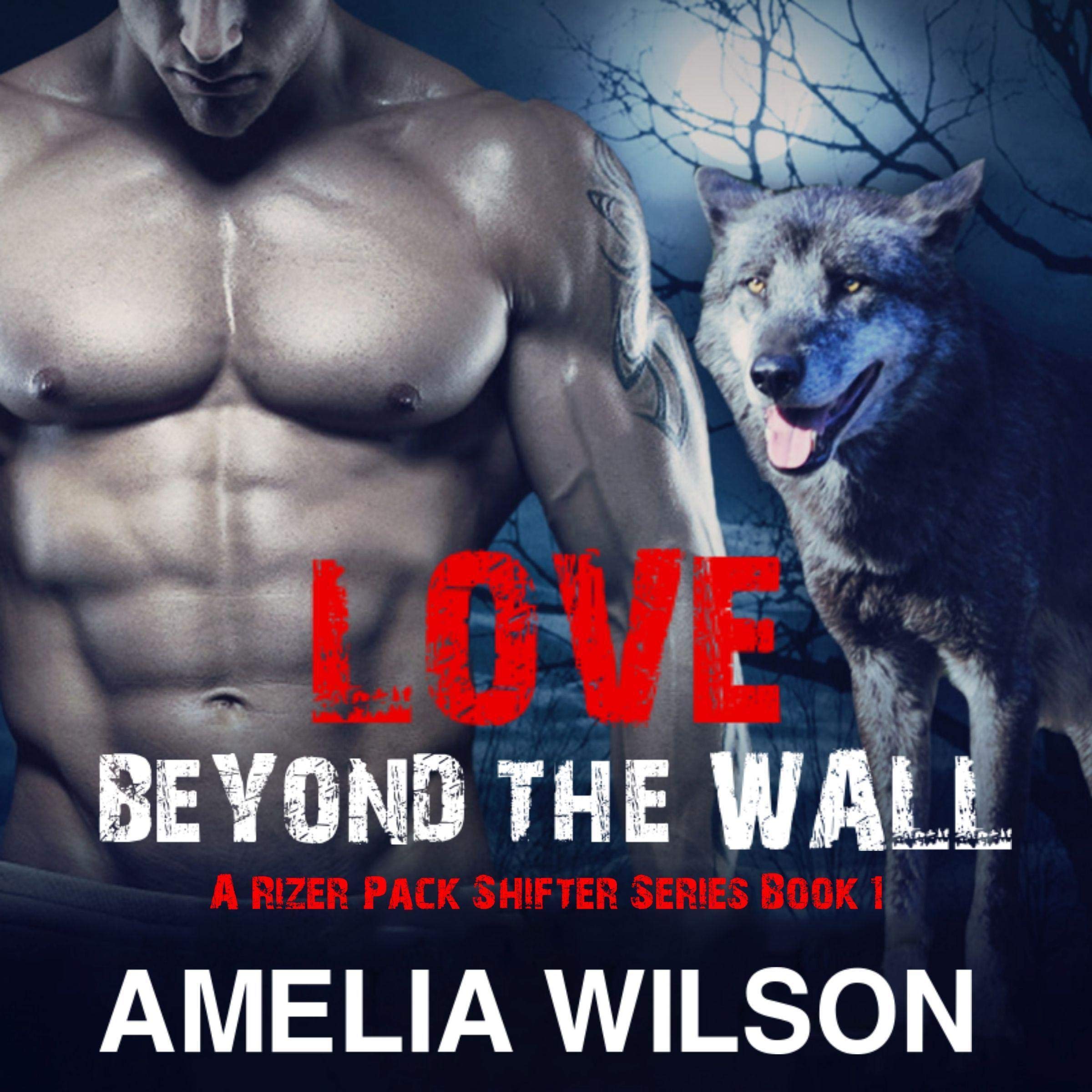 Cover art for Love Beyond the Wall