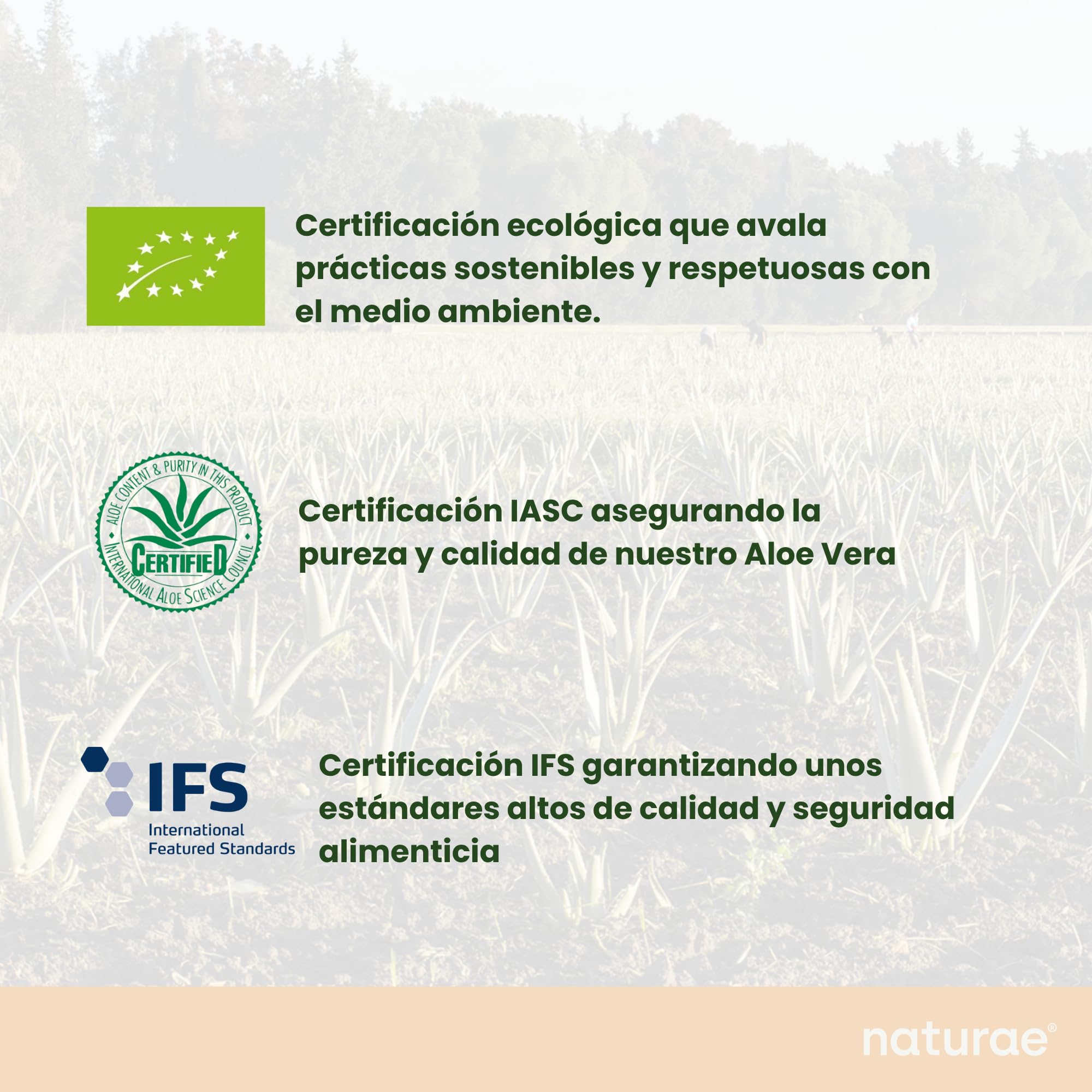 NATURAE – Jugo de Aloe Vera con miel – Digestivo Natural y Suave – Pack de 3 Botellas de 1L - Fabricado en España