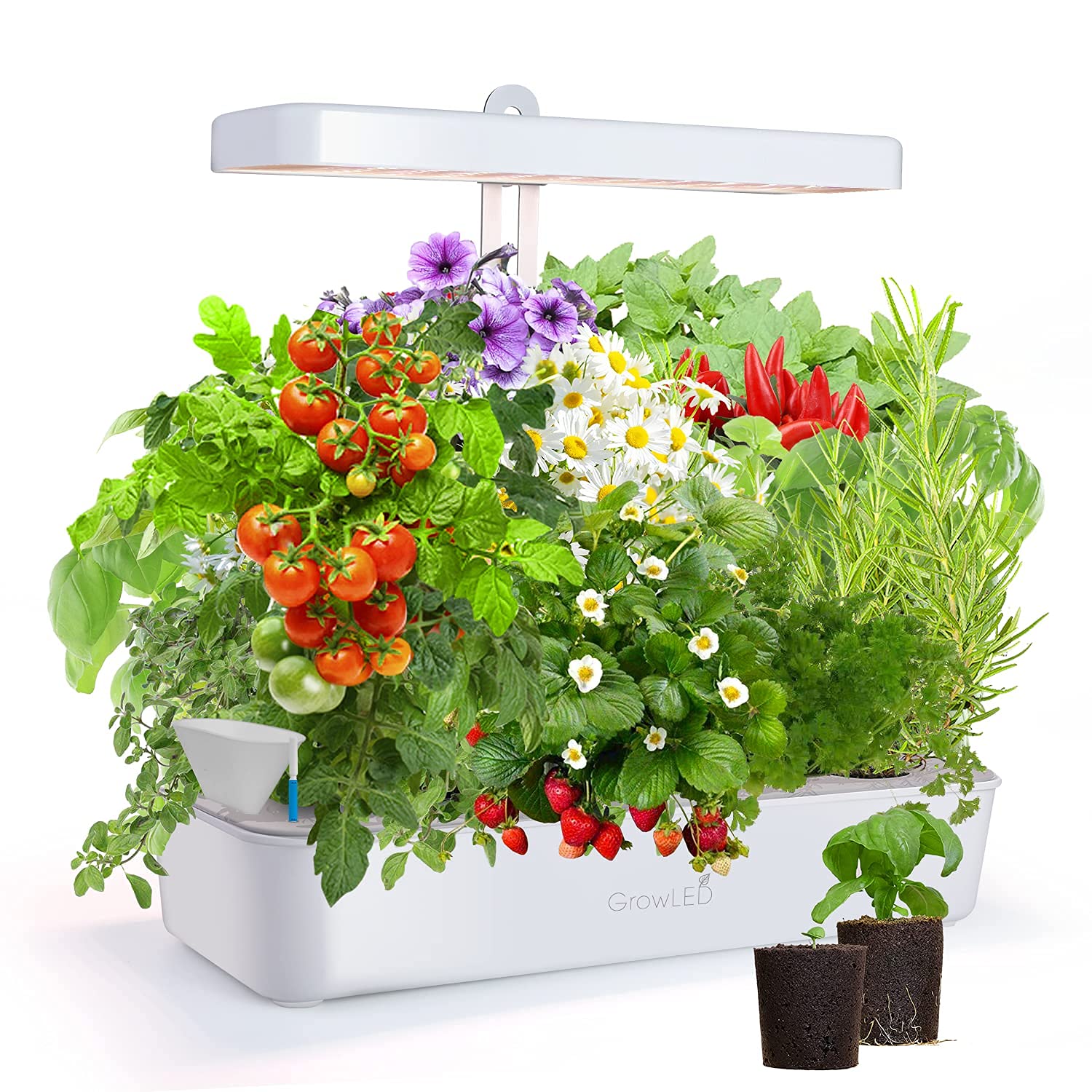 Buy GrowLED 10Pod Indoor Garden Germination Kit, Hydroponic Growing